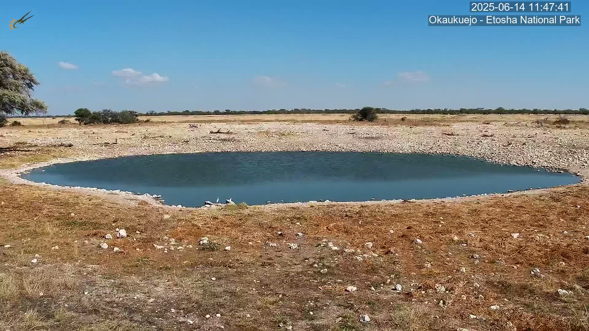 A small, kidney-shaped pool of water sits in a dry, rocky landscape under a mostly clear, sunny sky.