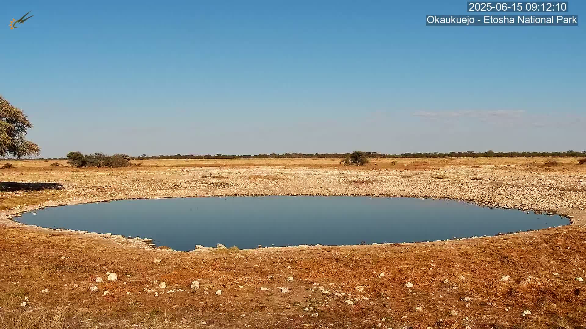A small, still body of water sits in a dry, rocky landscape under a clear blue sky.