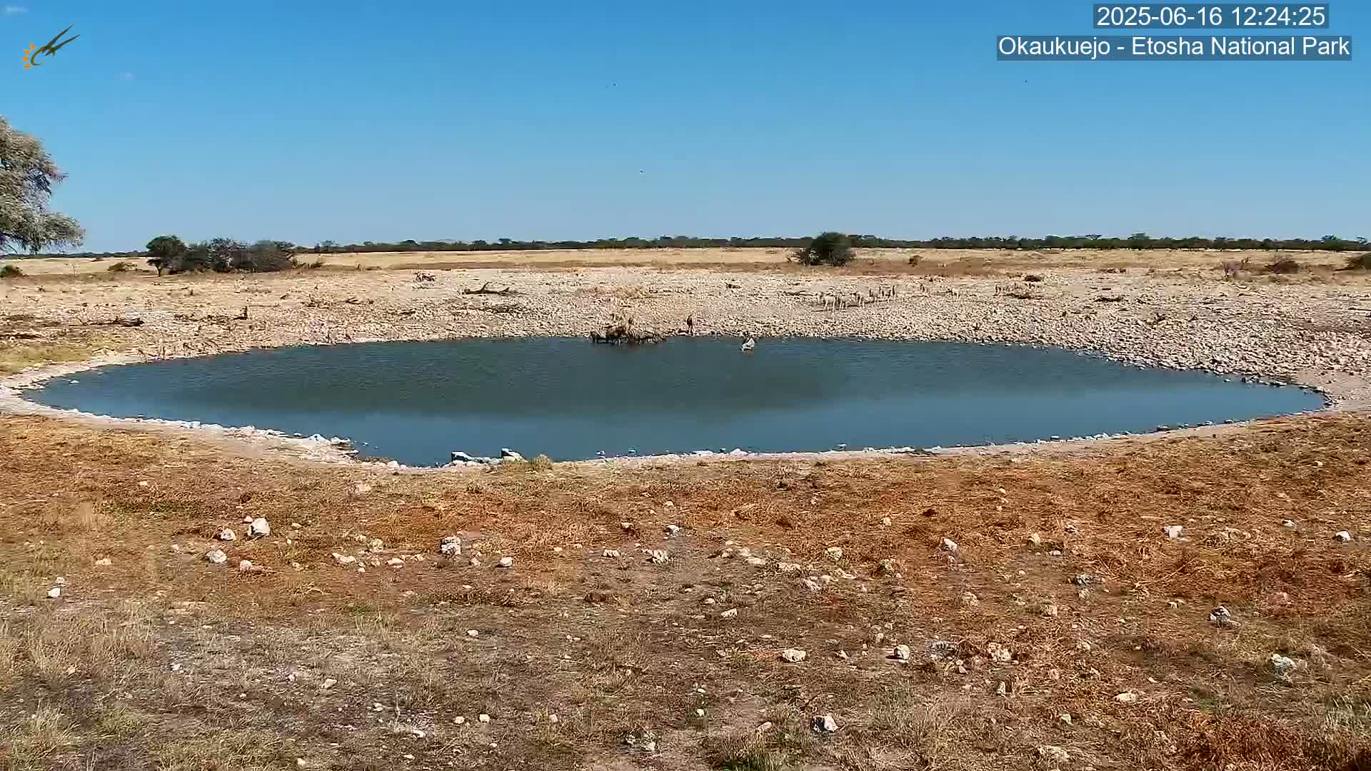 A small, calm body of water sits in a dry, rocky landscape under a clear blue sky.