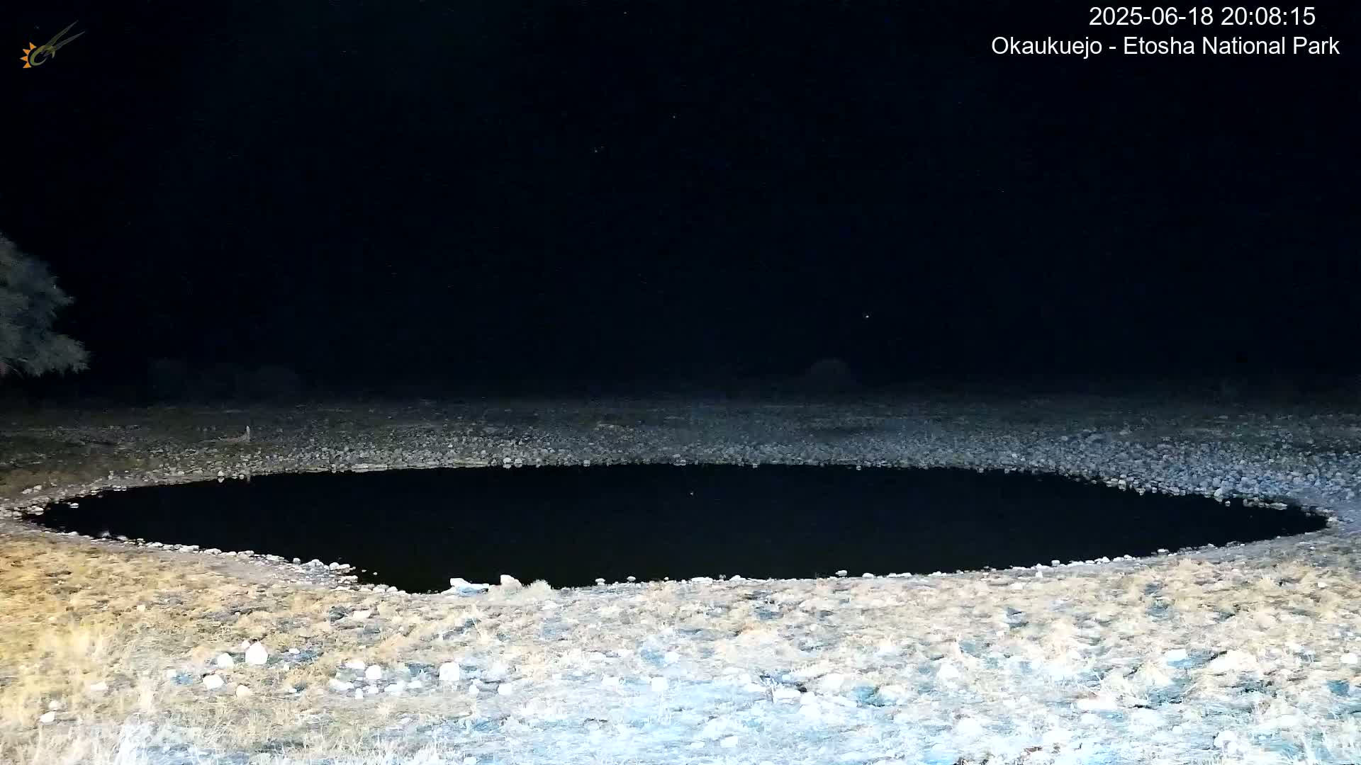 A dark, still body of water sits in a rocky, dry landscape at night under a clear, starry sky.