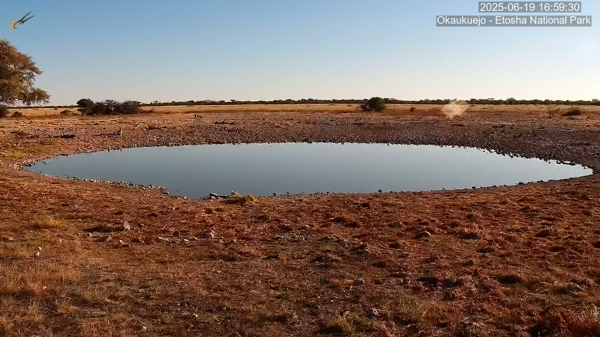 A kidney-shaped watering hole sits in a dry, brown landscape under a clear blue sky.