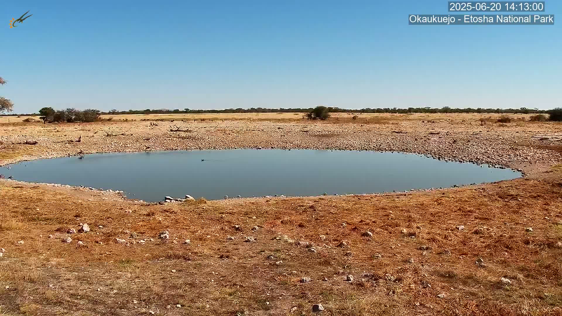 A small, calm body of water sits in a dry, rocky landscape under a clear blue sky.