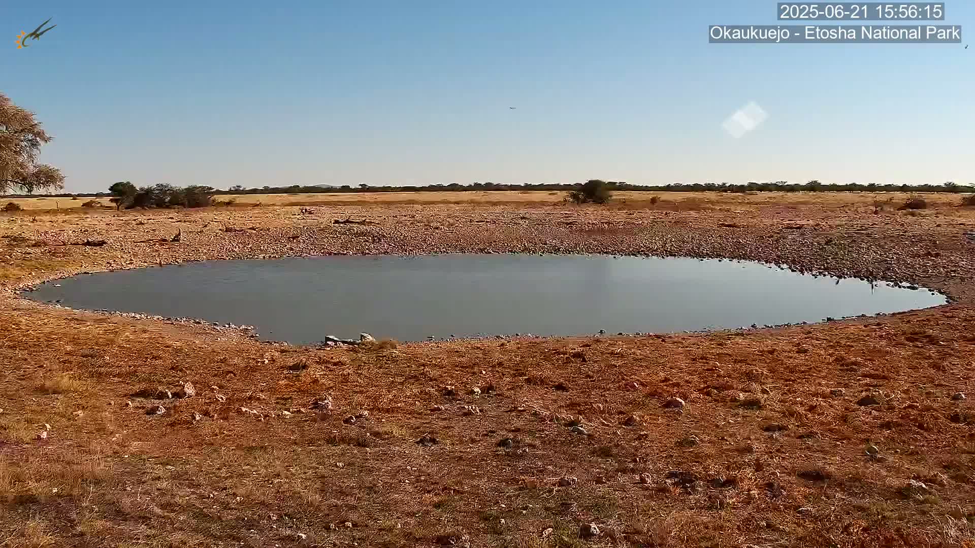 A small, still body of water sits in a dry, brown landscape under a clear blue sky.