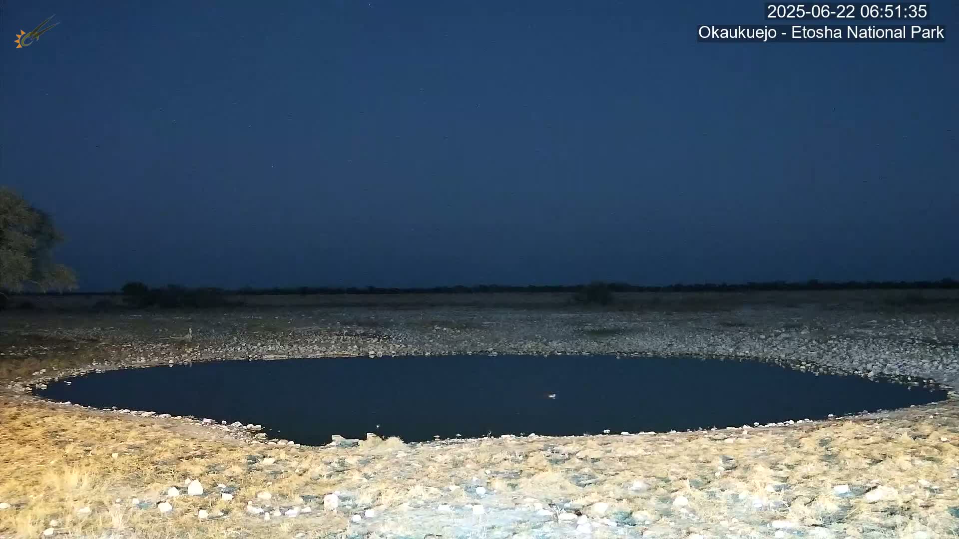 Wild Animal Life  in Okaukuejo Waterhole in Etosha National Park  -  Oshakati, Oshana, Namibia
