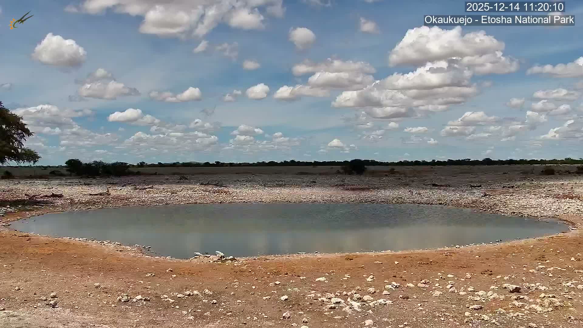 Numerous zebras gather around a natural waterhole in a vast, arid, and rocky landscape under a partly cloudy sky.