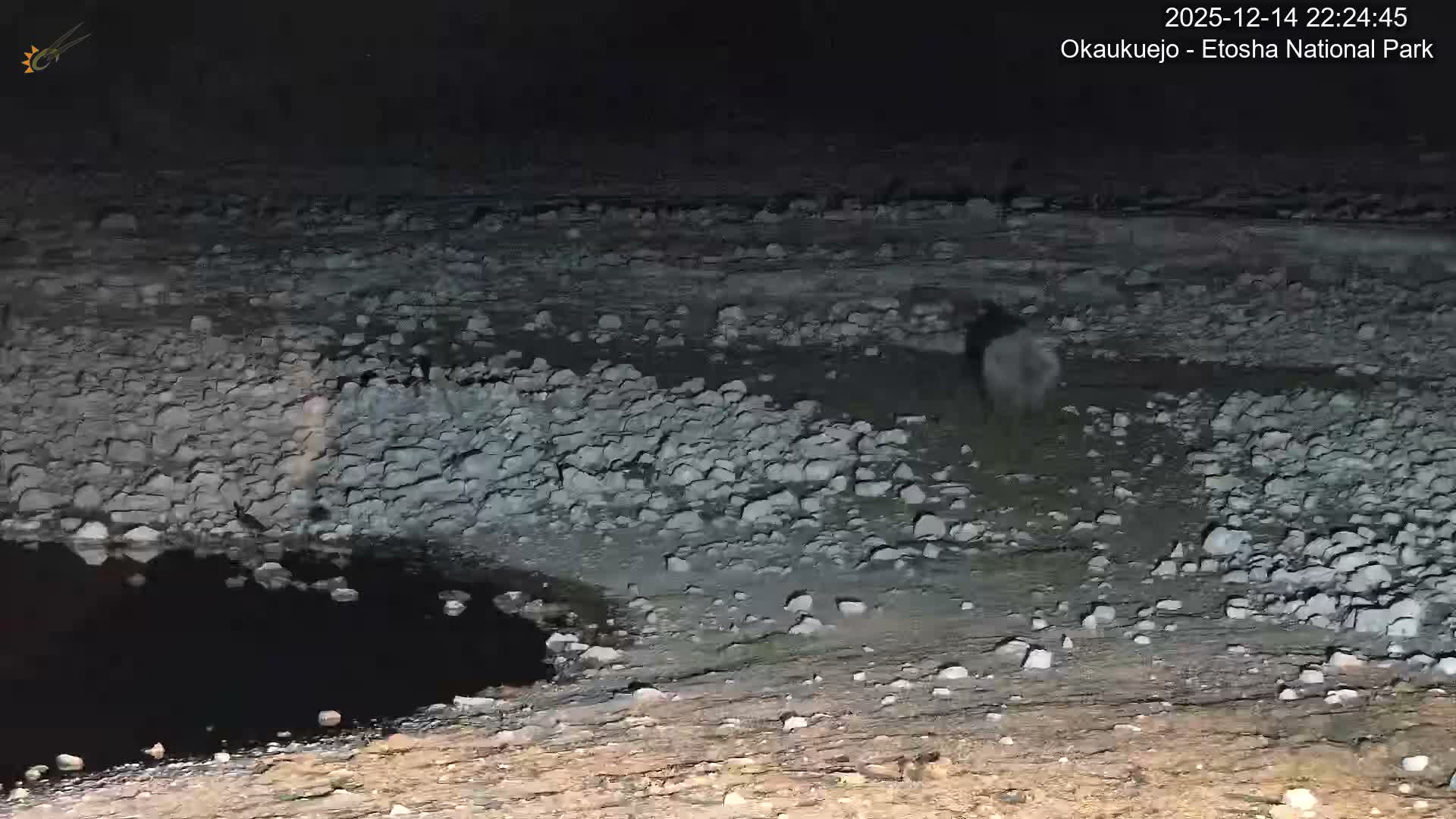 Numerous zebras gather around a natural waterhole in a vast, arid, and rocky landscape under a partly cloudy sky.