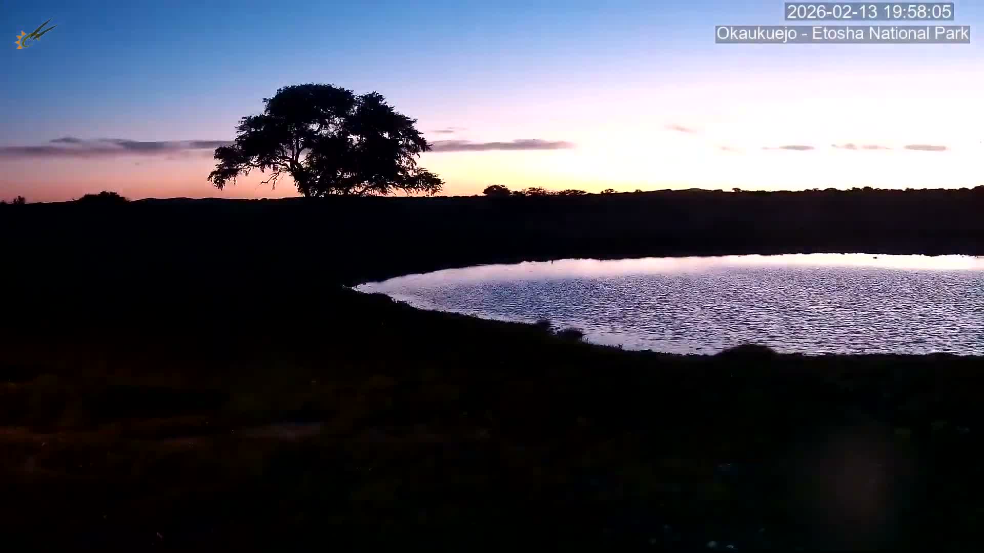 Wild Animal Life  in Okaukuejo Waterhole in Etosha National Park  -  Oshakati, Oshana, Namibia