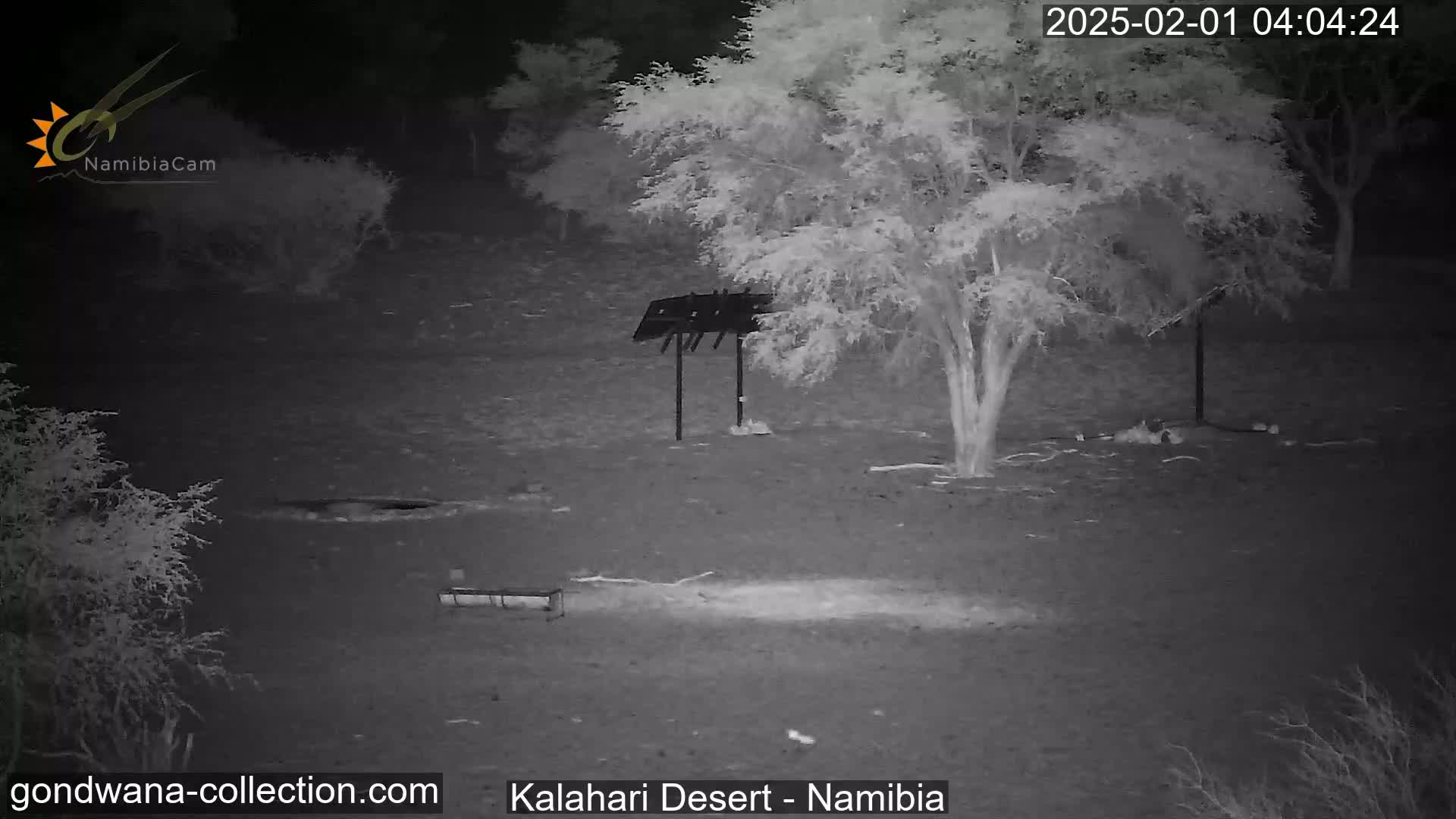A nighttime, infrared image shows a sparsely vegetated desert landscape with a small structure resembling a bird feeder and a tree under a dark sky.