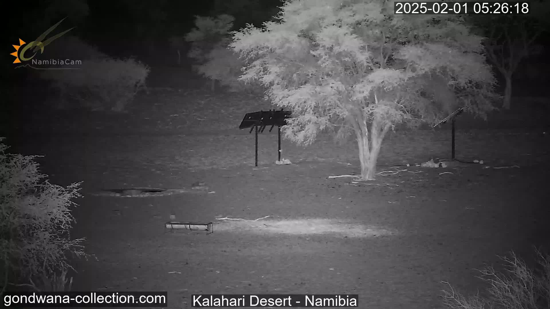 A nighttime, infrared image shows a barren, sandy landscape with sparse vegetation, a tree, and some structures, possibly solar panels and a small shelter.