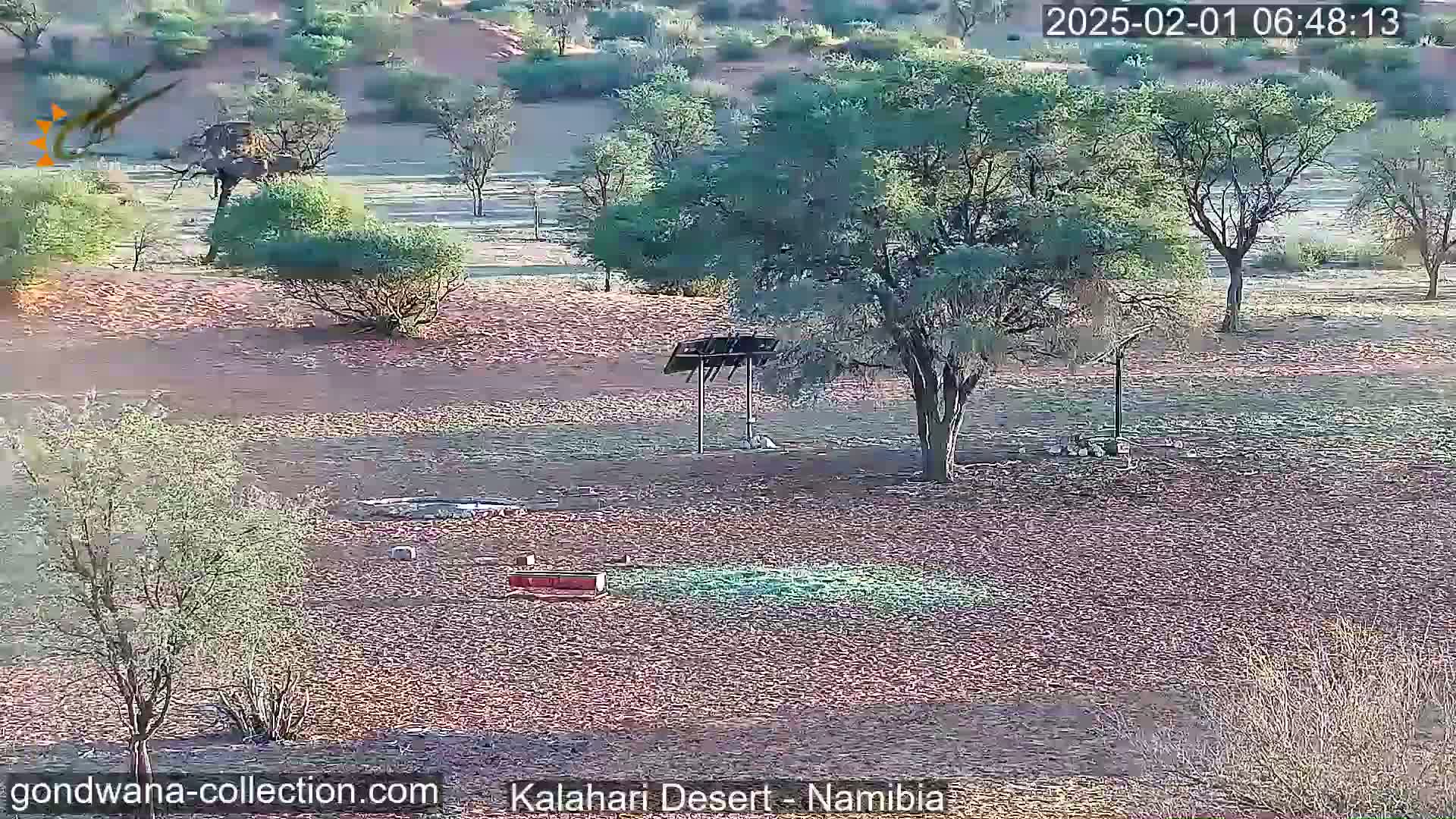 A mostly sunny, arid landscape with scattered trees and low shrubs, a water trough, and a metal structure.