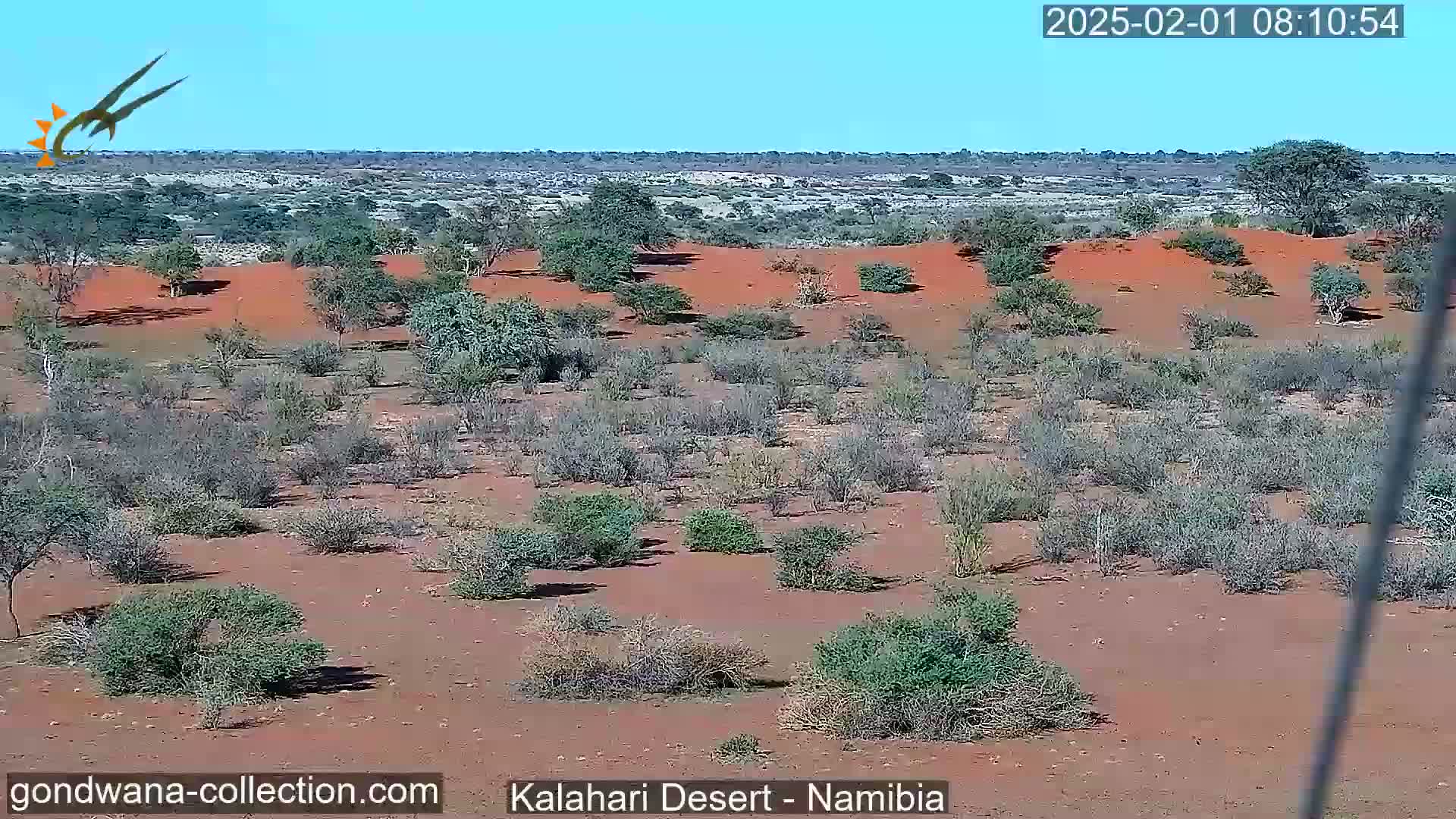 A sparse, scrubby landscape of reddish-brown earth and low-lying vegetation stretches under a clear blue sky.