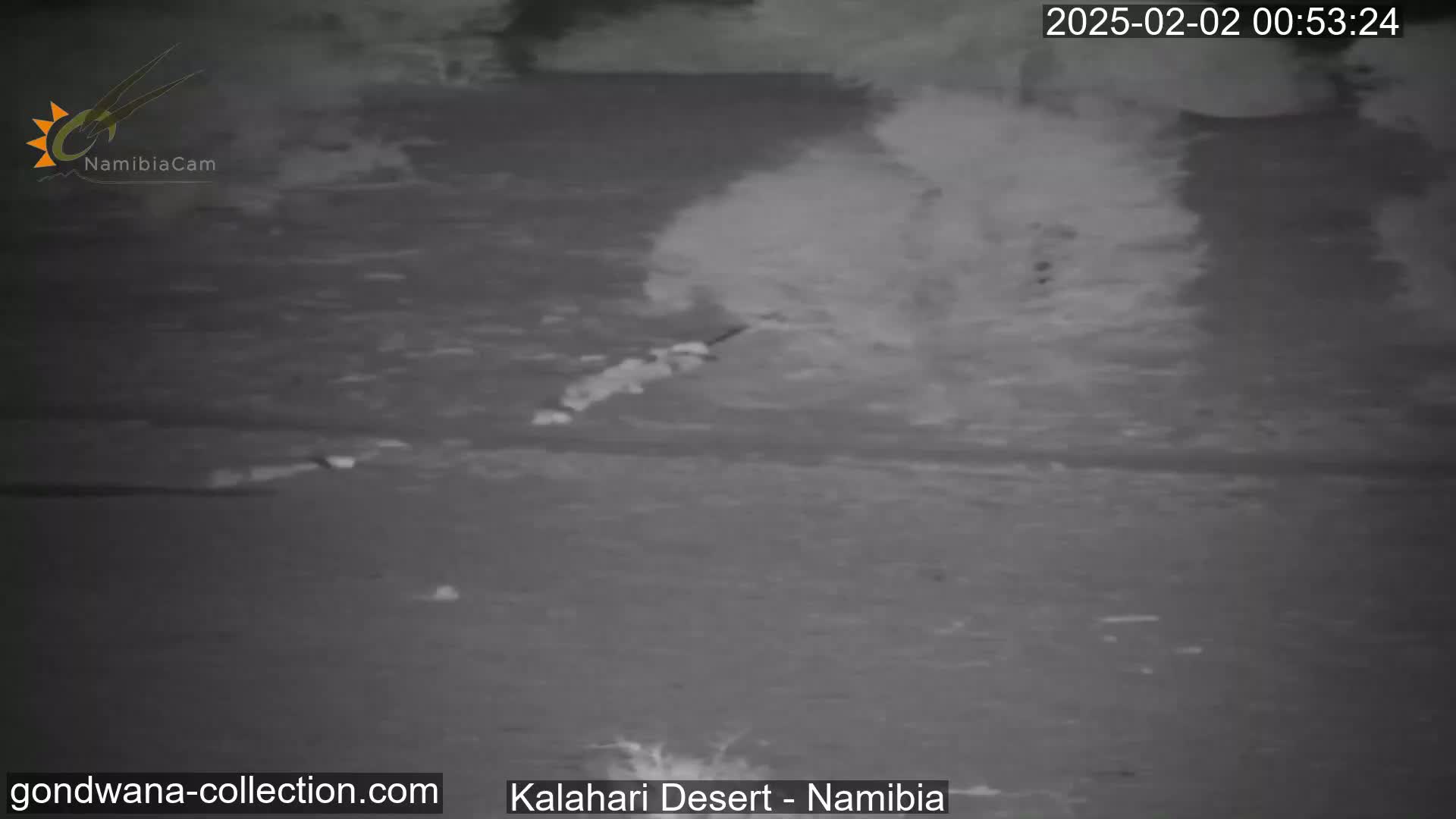 A nighttime, low-light image shows a dark, flat expanse of land with a small, indistinct object moving across it, leaving a faint trail behind.