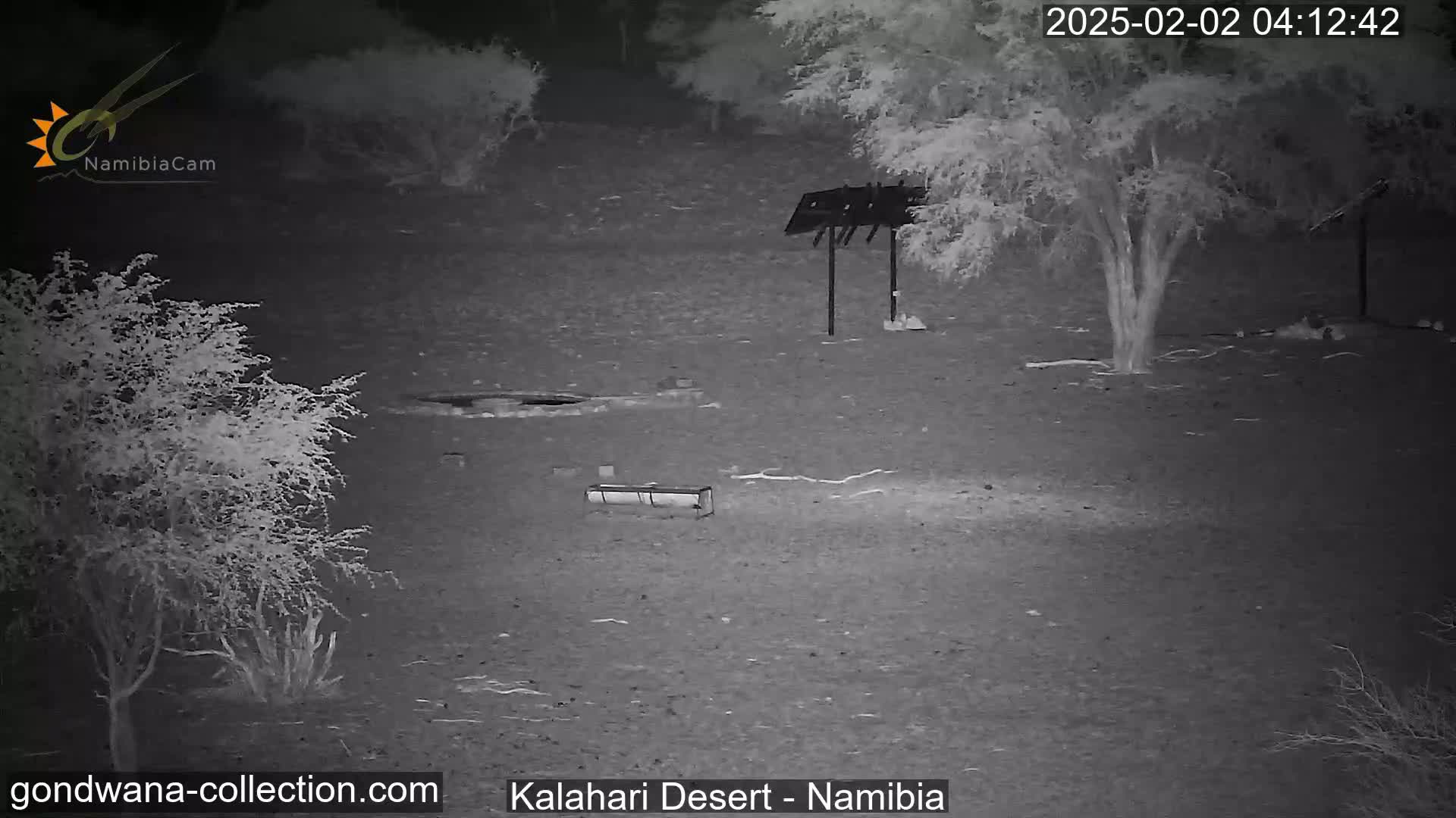 A nighttime infrared image shows a desolate, sandy landscape with sparse, low-lying vegetation and a few trees under a clear sky.
