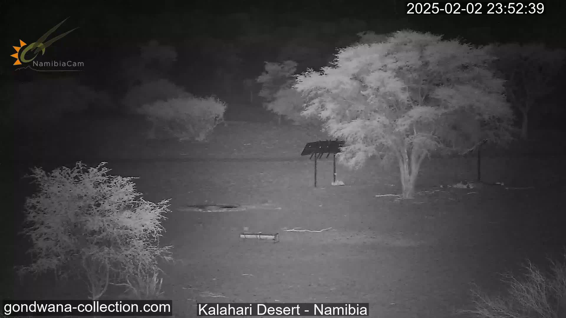 A nighttime infrared image shows a desert landscape with sparse trees and a small structure under a dark sky.