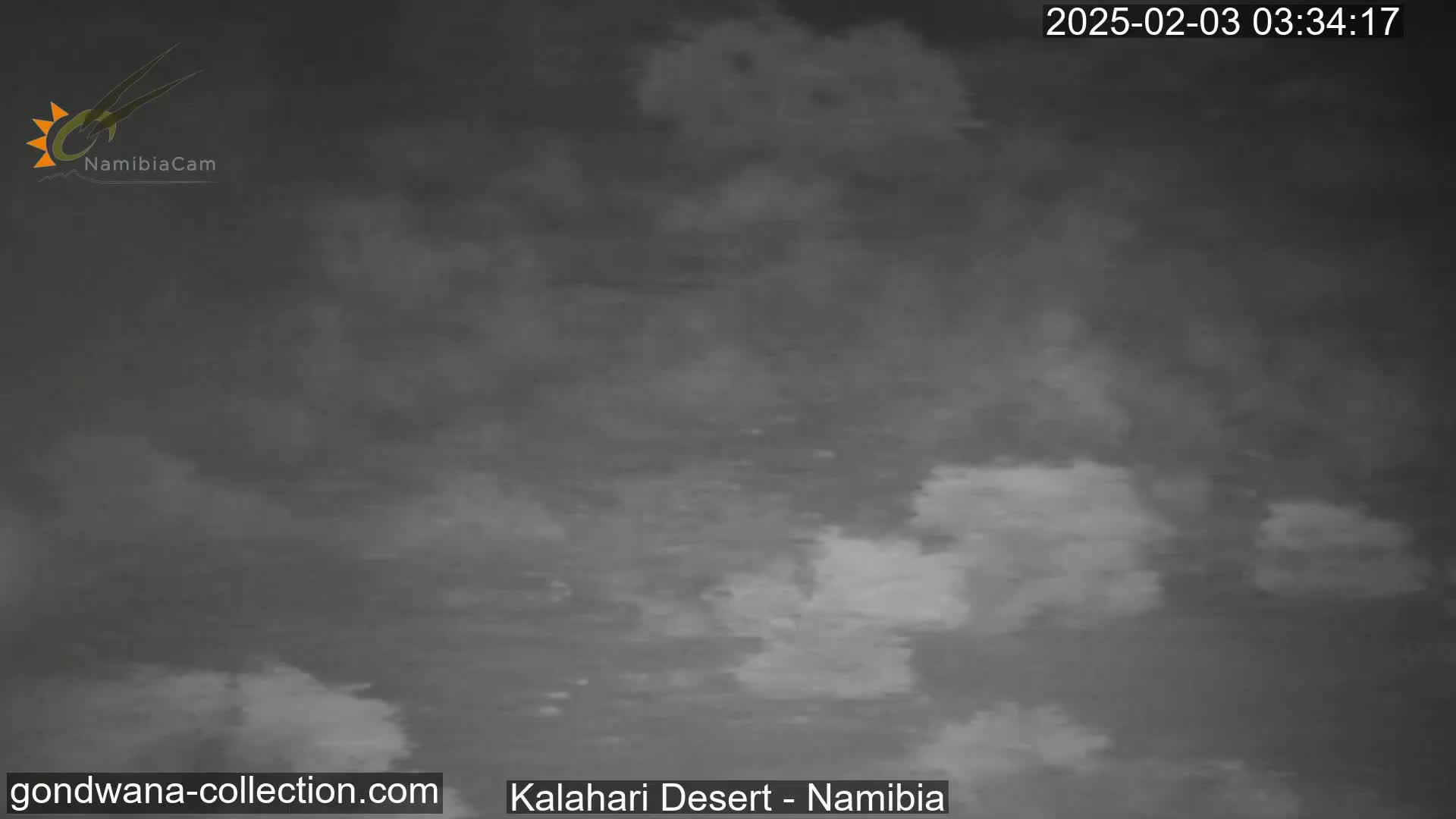 A mostly cloudy, dark gray sky is visible over the Kalahari Desert.