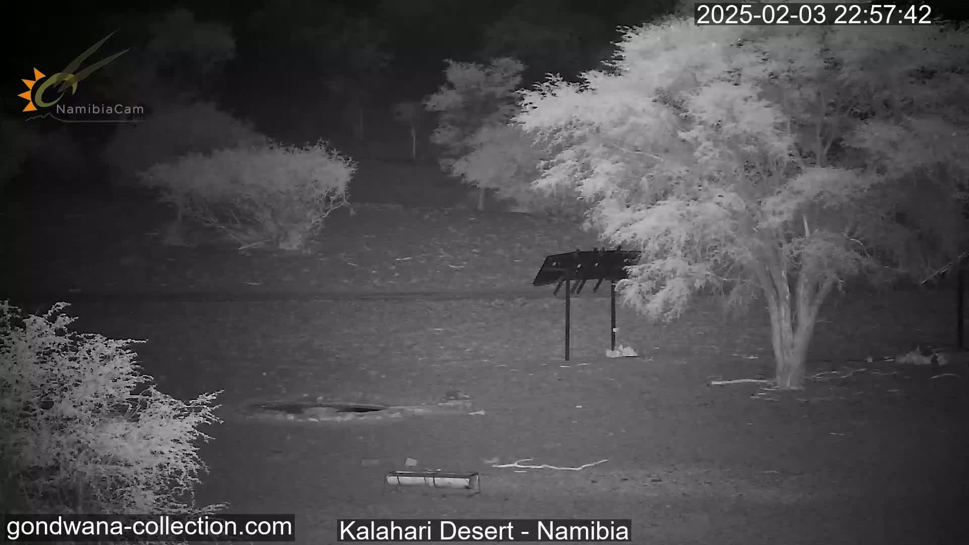 A nighttime infrared image shows a desert landscape with sparse vegetation and a simple structure, possibly a bird feeder.