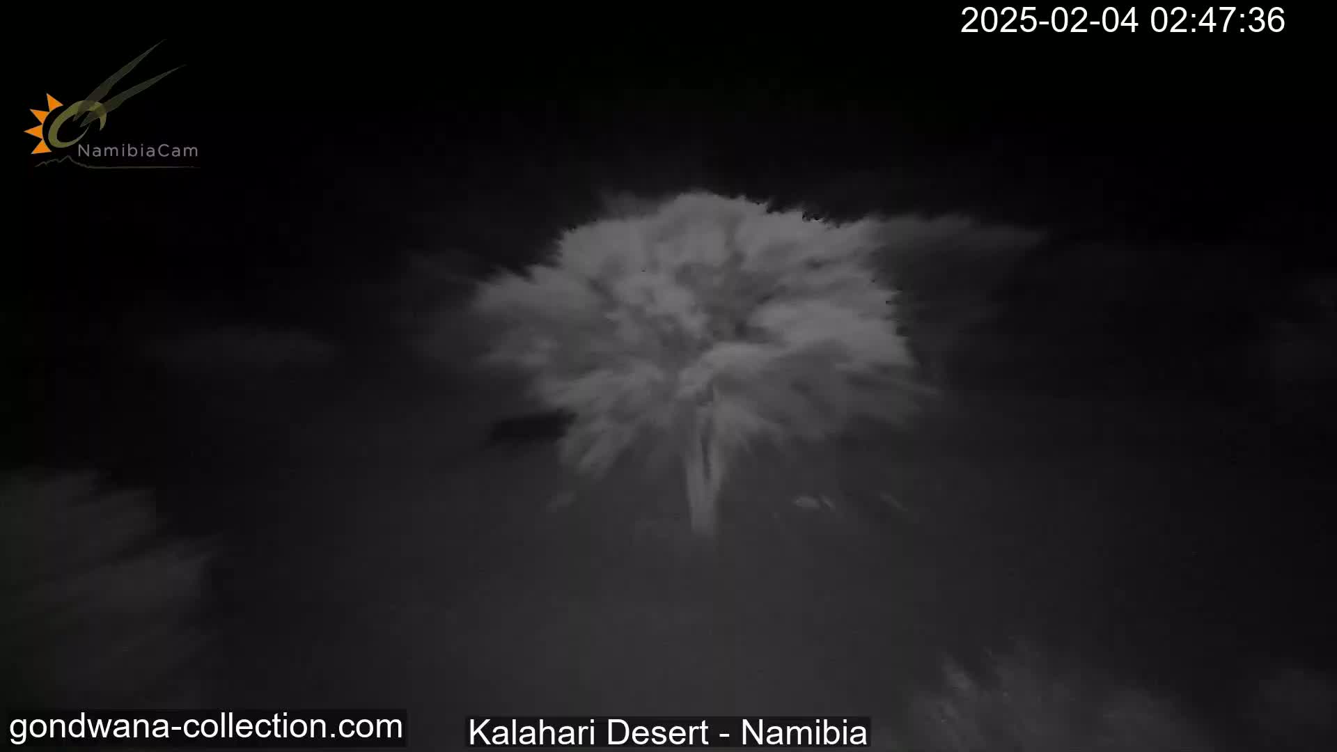 A nighttime, low-light image shows a large plume of dust or sand rising into the dark sky.