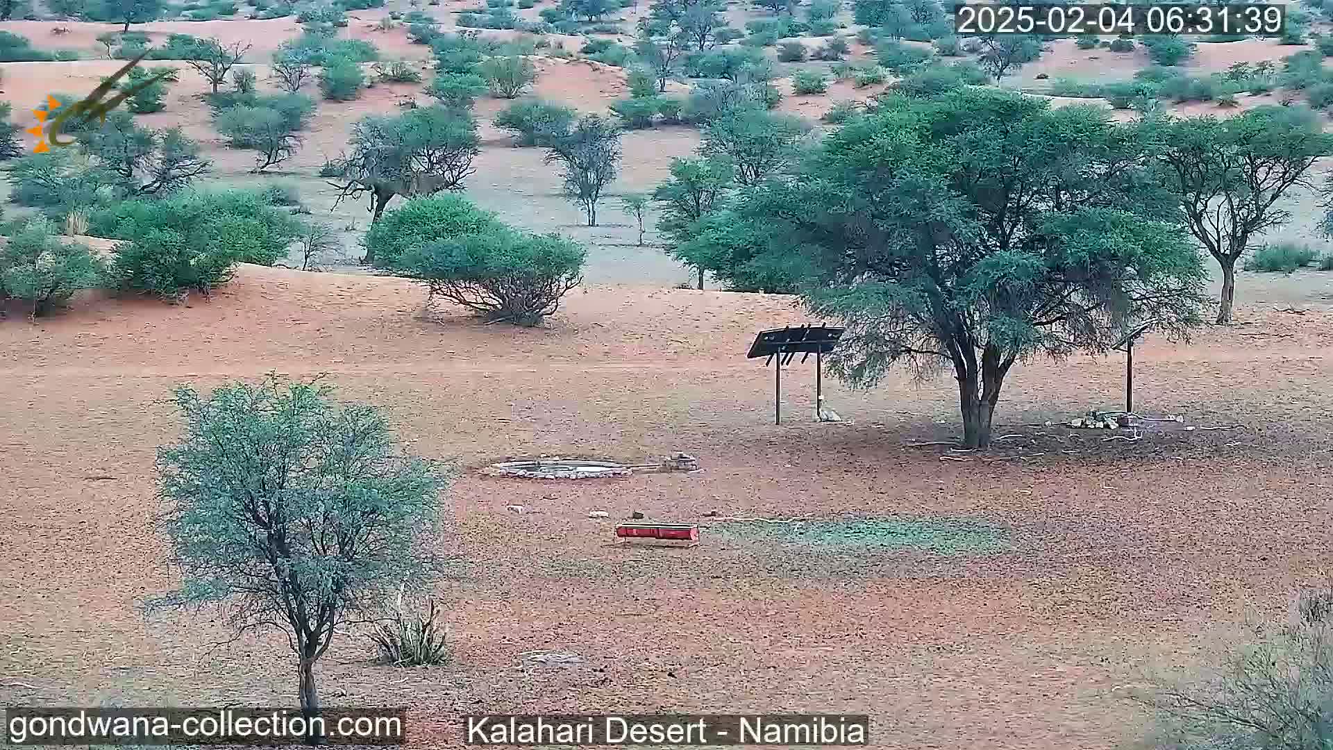 A desert landscape with sparse, low-lying vegetation, a few trees, and a small water source, under a clear sky.