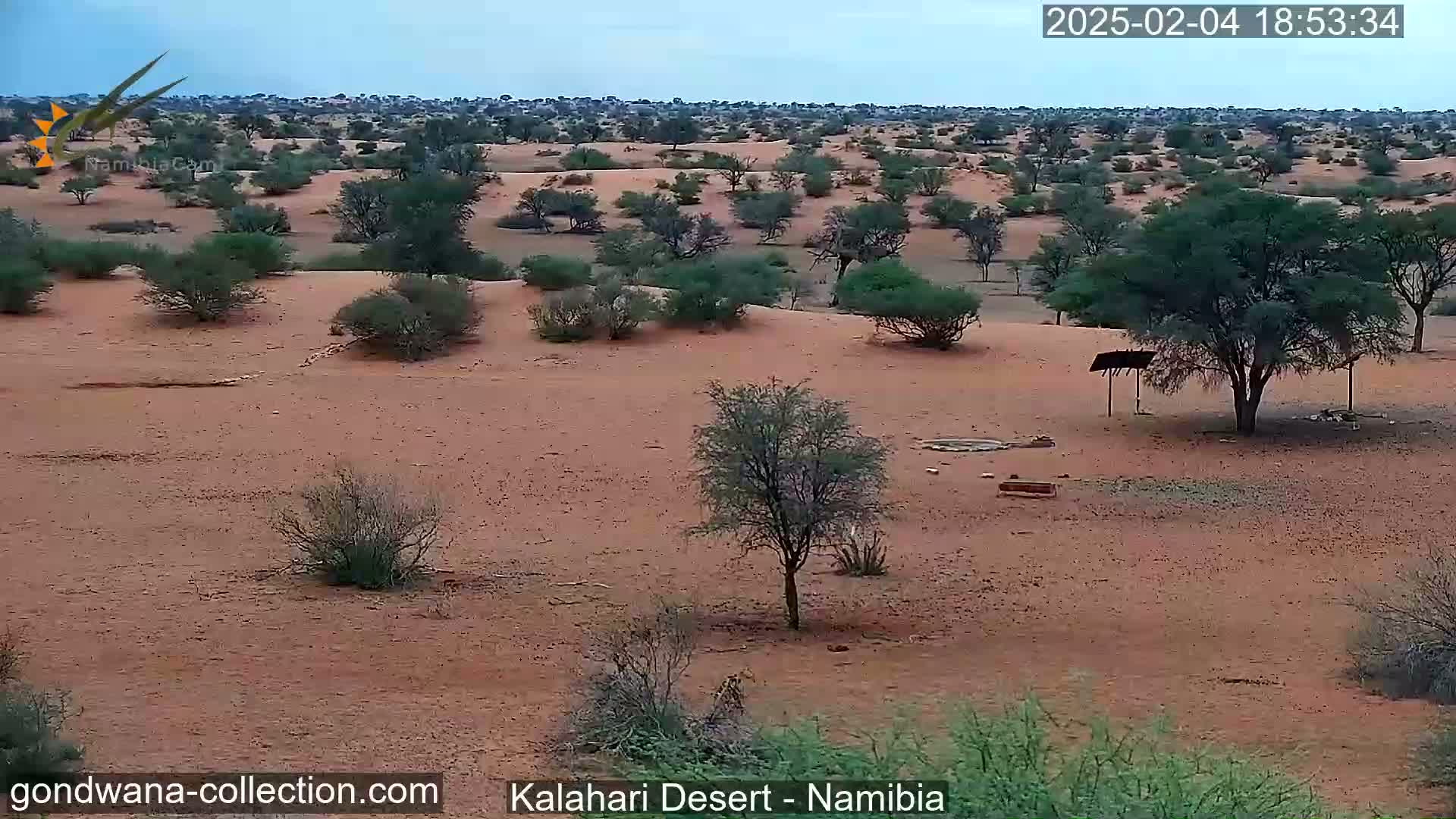 A mostly sunny, arid landscape with sparse, low-lying vegetation and scattered trees under a pale sky.