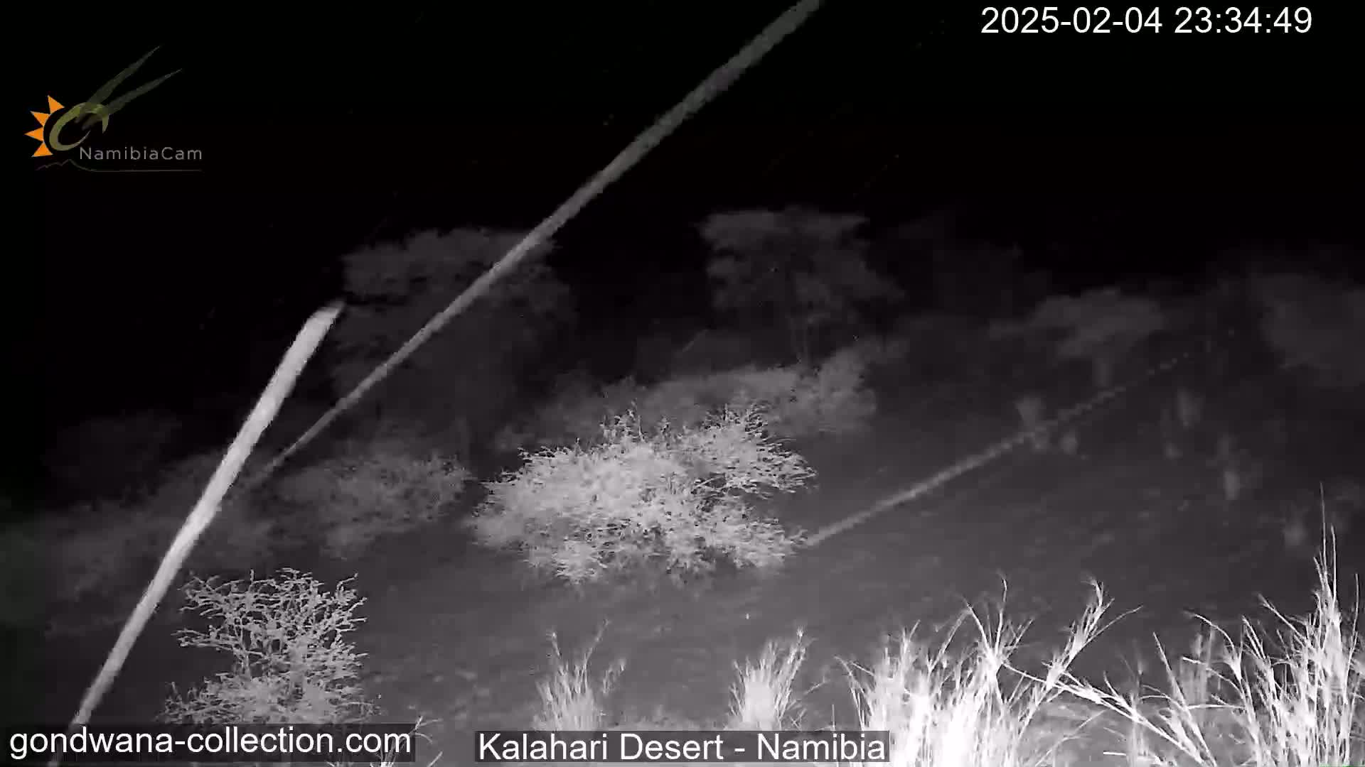 A nighttime, infrared view shows sparse desert vegetation under a clear sky with what appears to be light streaks from meteors.
