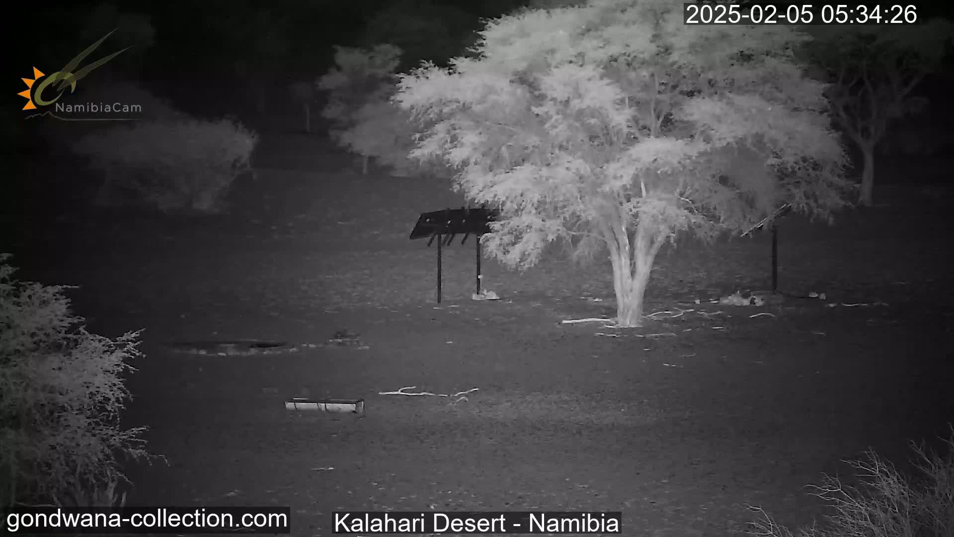 A nighttime infrared image shows a barren, dry landscape with sparse, leafless trees and a metal structure under one of the trees.