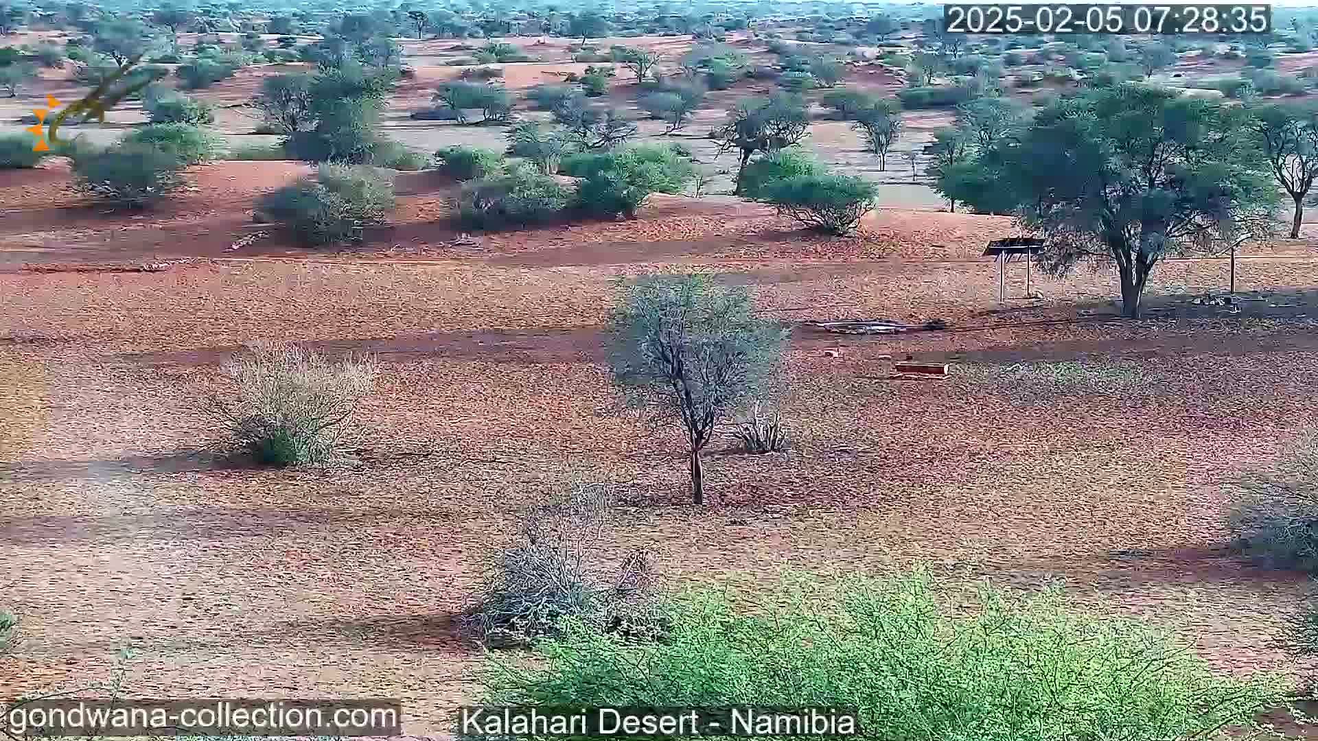 A high-angle view shows a dry, reddish-brown landscape dotted with sparse, low-lying shrubs and small trees under a clear sky.