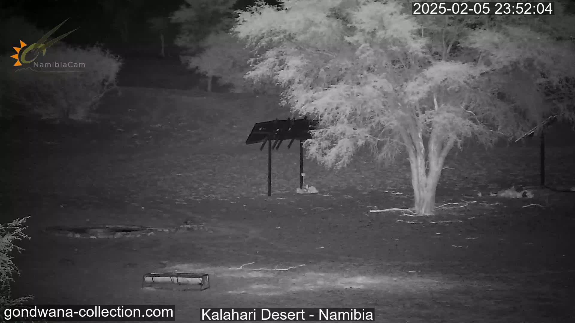 A nighttime infrared image shows a barren, dark landscape with a tree, a simple structure, and a bench under a clear, dark sky.