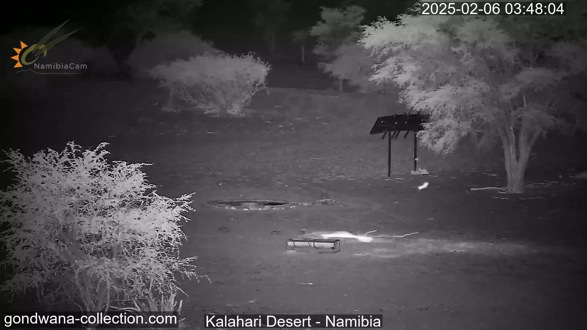 A nighttime infrared image shows a sparsely vegetated desert landscape with a small structure and a fire pit, under clear skies.