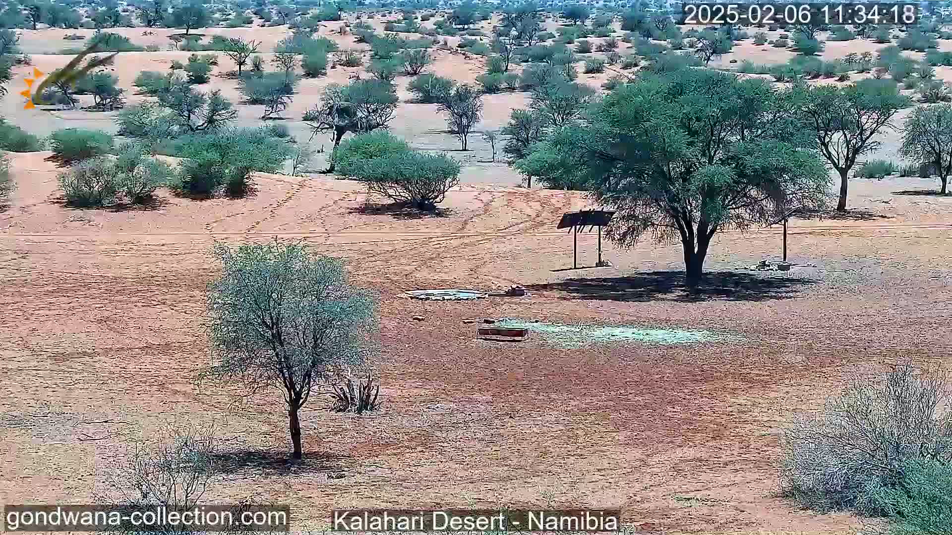 A desert landscape under a sunny sky shows sparse vegetation, including several small trees and shrubs, a shaded resting area with a simple shelter, and tire tracks on the sandy ground.