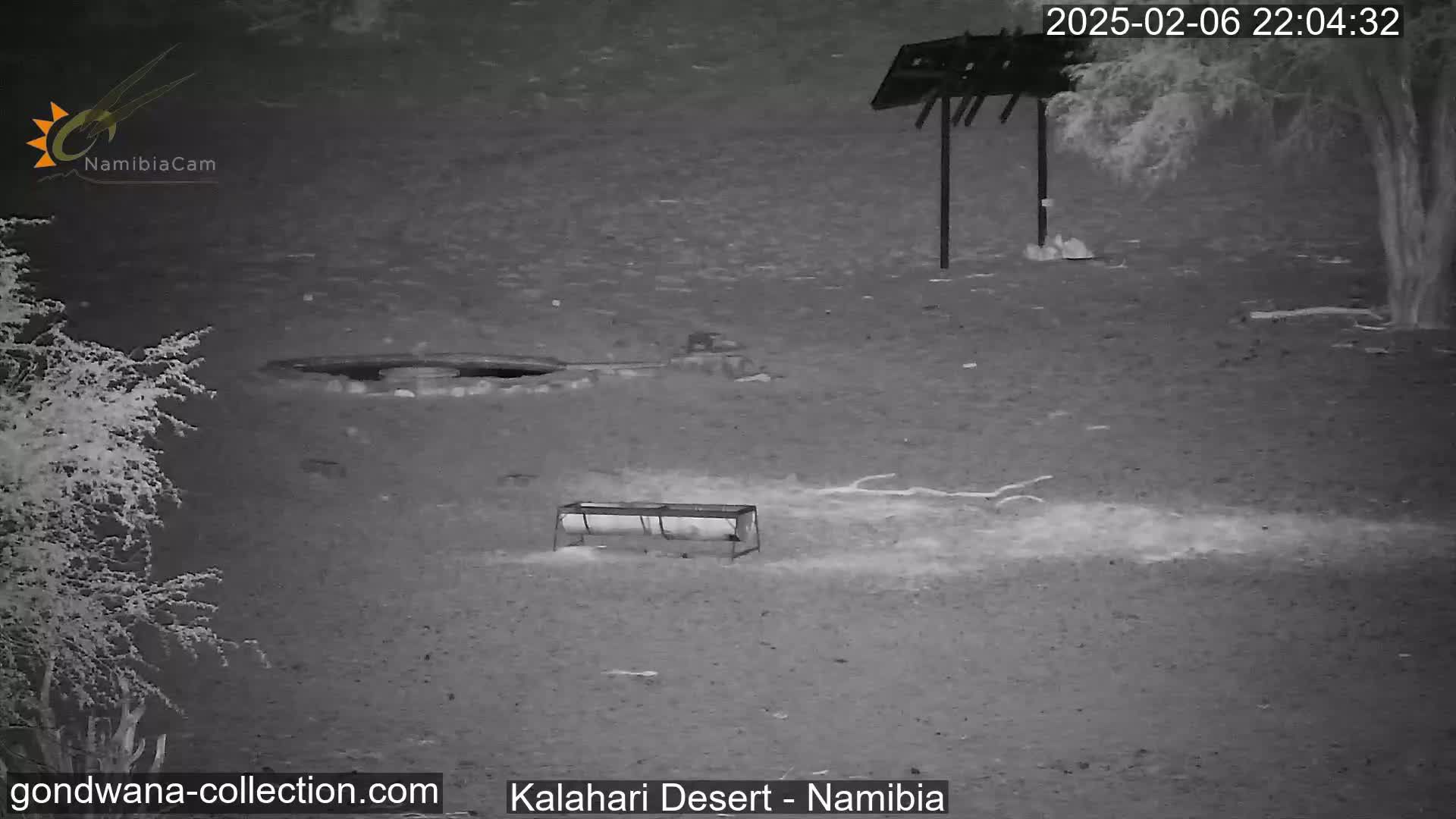 Natural Life in the Kalahari Desert (Gondwana Kalahari Park)  Live Cam - Mariental, Hardap, Namibia