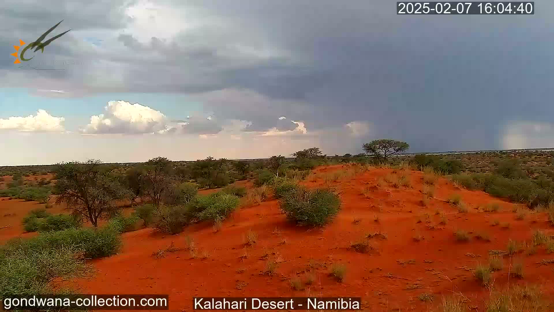 Natural Life in the Kalahari Desert (Gondwana Kalahari Park)  Live Cam - Mariental, Hardap, Namibia