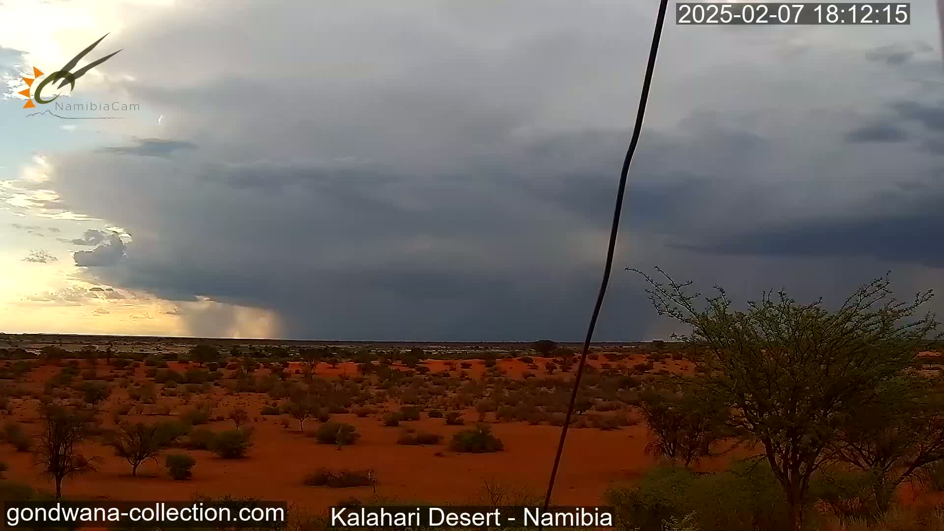 Natural Life in the Kalahari Desert (Gondwana Kalahari Park)  Live Cam - Mariental, Hardap, Namibia