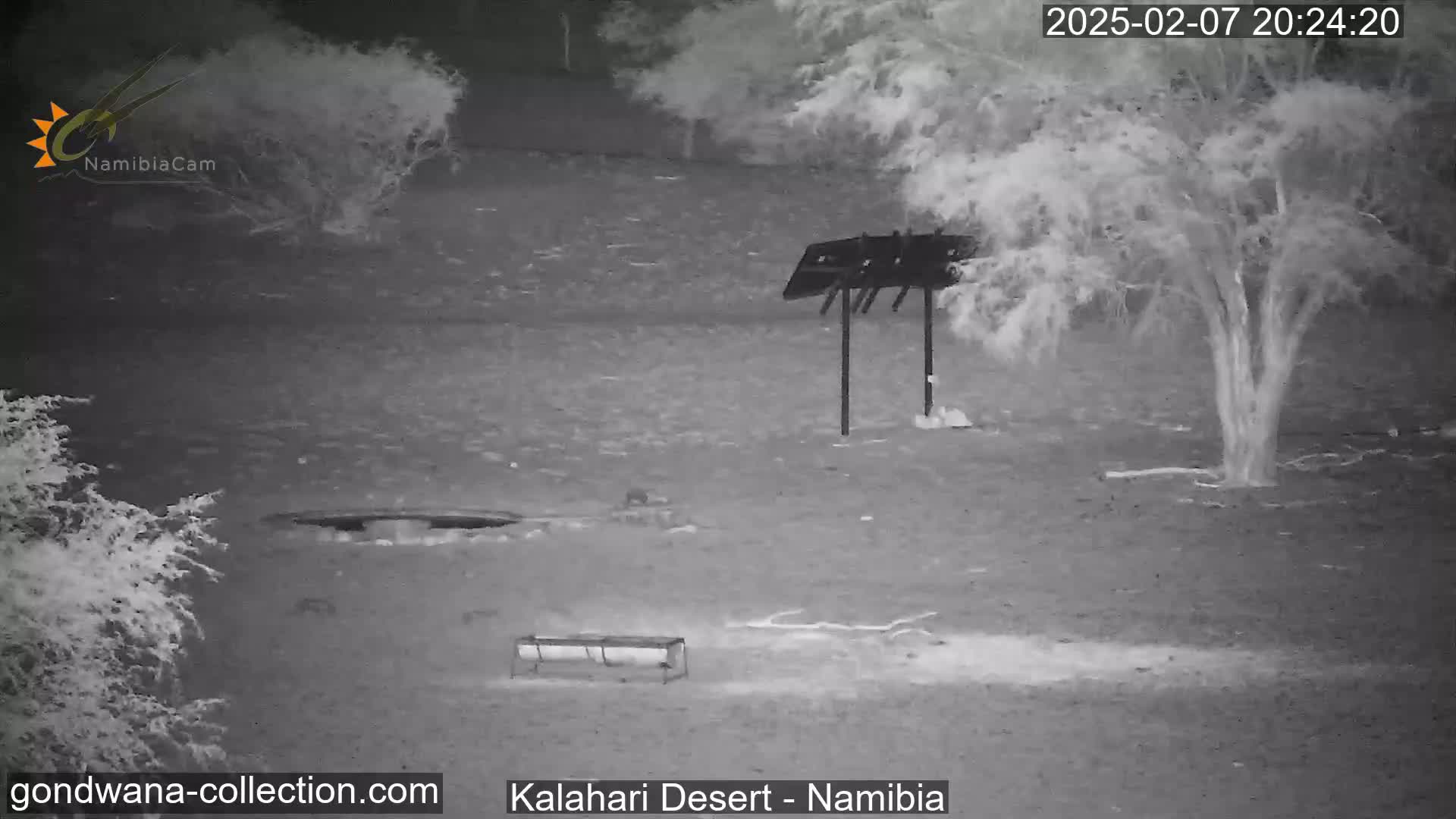 A nighttime infrared view of a desert landscape shows a sparsely vegetated area with a few small trees, a metal structure, and what appears to be a feeding trough.