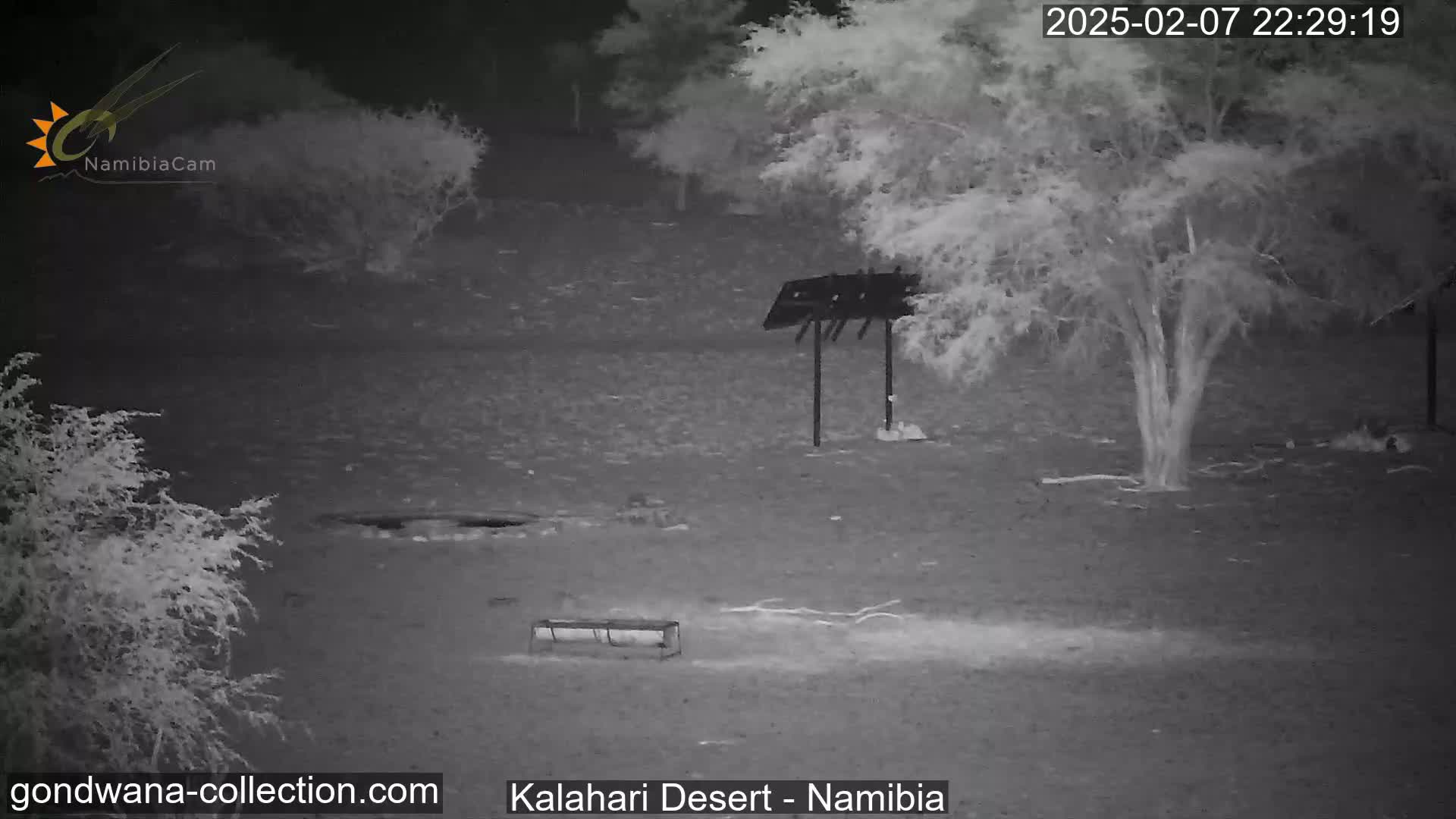A nighttime infrared image shows a sparsely vegetated area with a few trees, a bench, and a standing structure resembling a bird feeder, under clear skies.