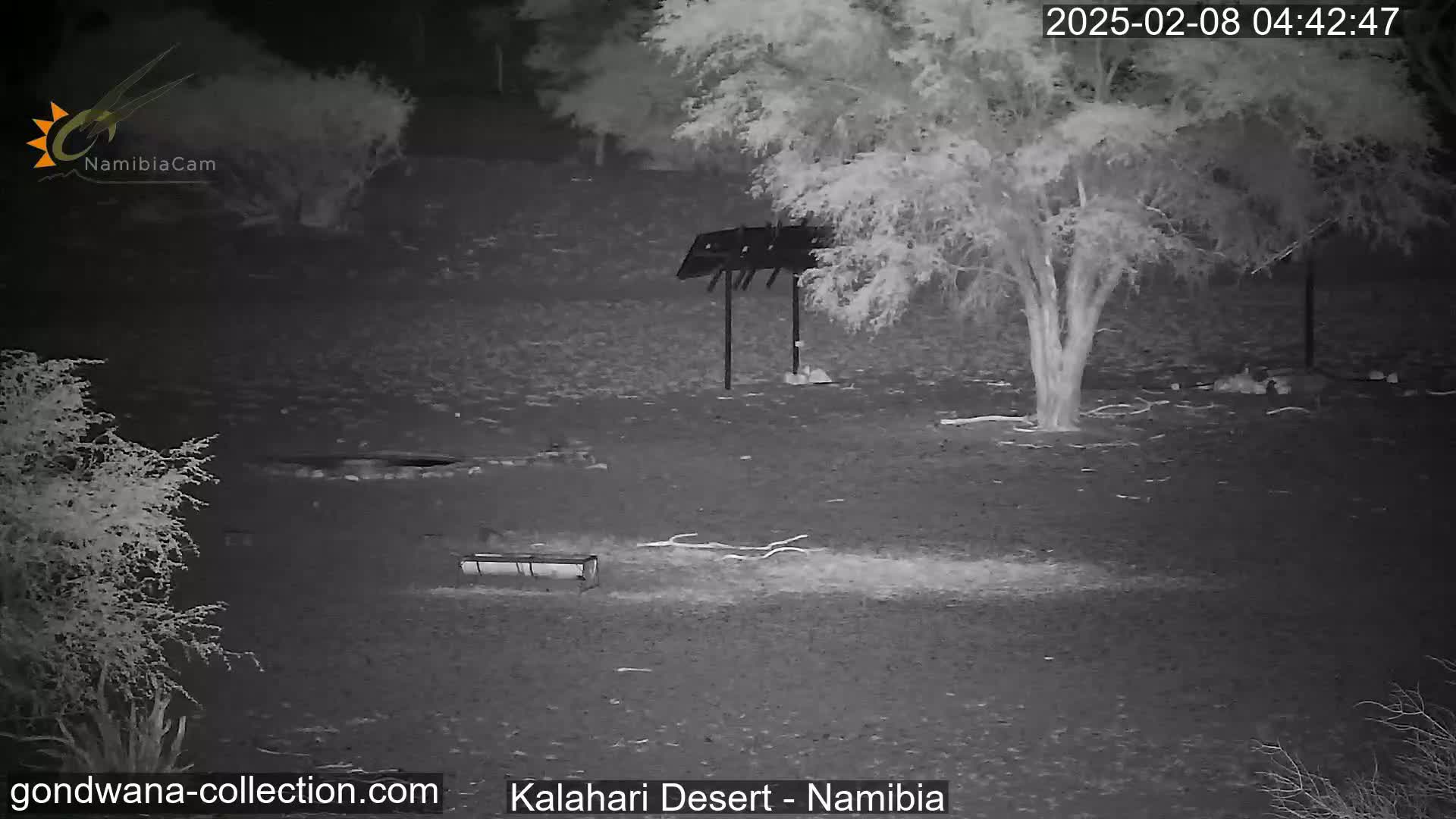 A nighttime infrared image shows a barren, flat landscape with sparse desert vegetation, a lone tree, and a simple structure under a clear sky.
