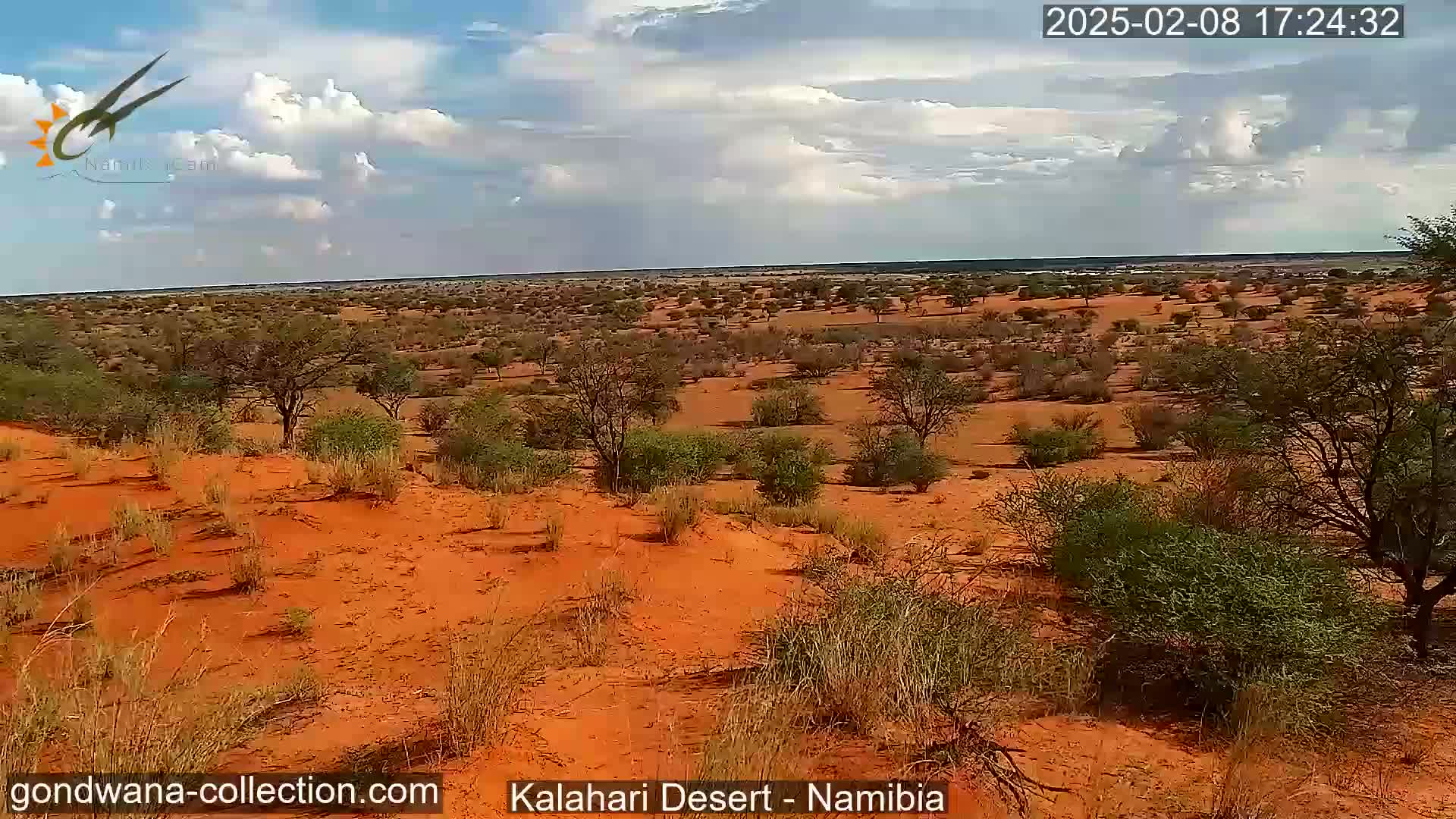 A partly cloudy day reveals a vast expanse of red sand and sparse, drought-resistant vegetation in the Kalahari Desert.