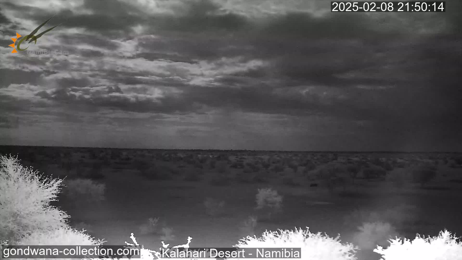 A nighttime view of a flat, sparsely vegetated landscape under a cloudy sky.