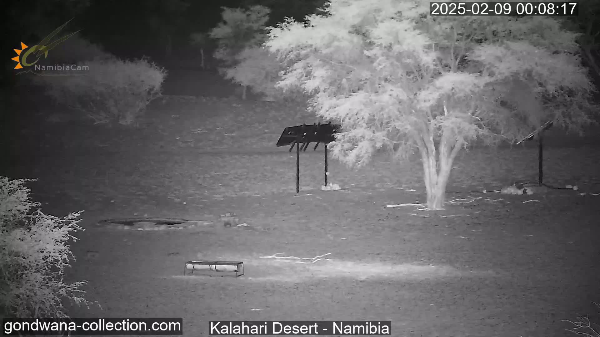 A nighttime, infrared image shows a barren, sandy landscape with sparse vegetation, a tree, a bench, and a small structure.
