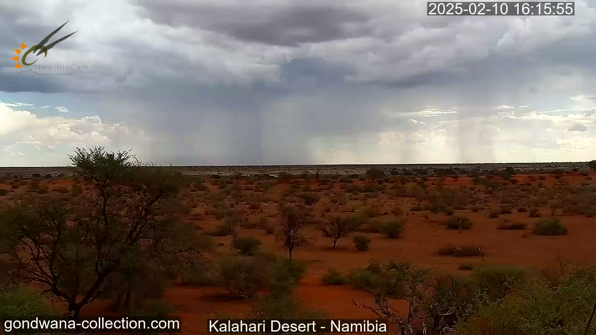 A rain shower falls over a flat, red desert landscape sparsely dotted with shrubs and small trees under a mostly cloudy sky.