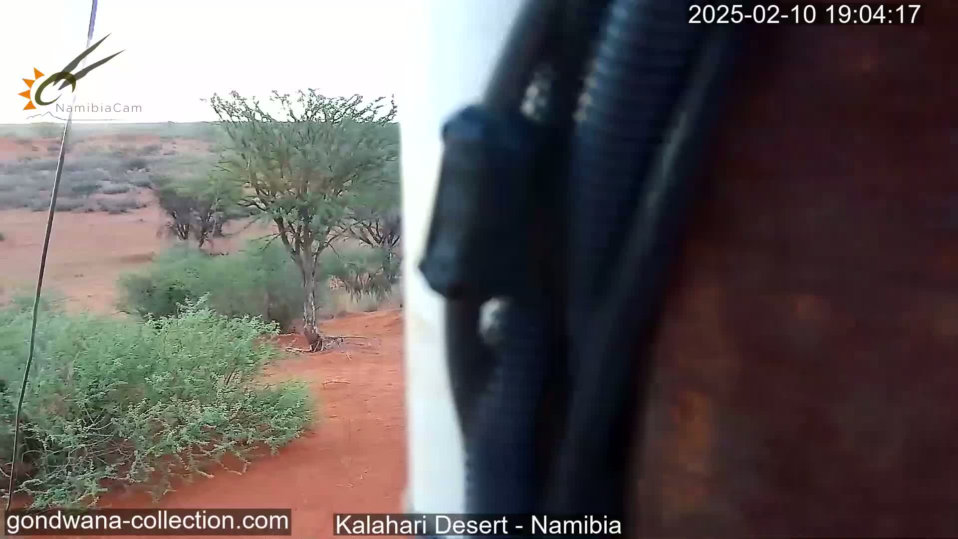 A view of sparse desert vegetation on red sand is partially obscured by a dark, vertical object in the foreground under overcast skies.