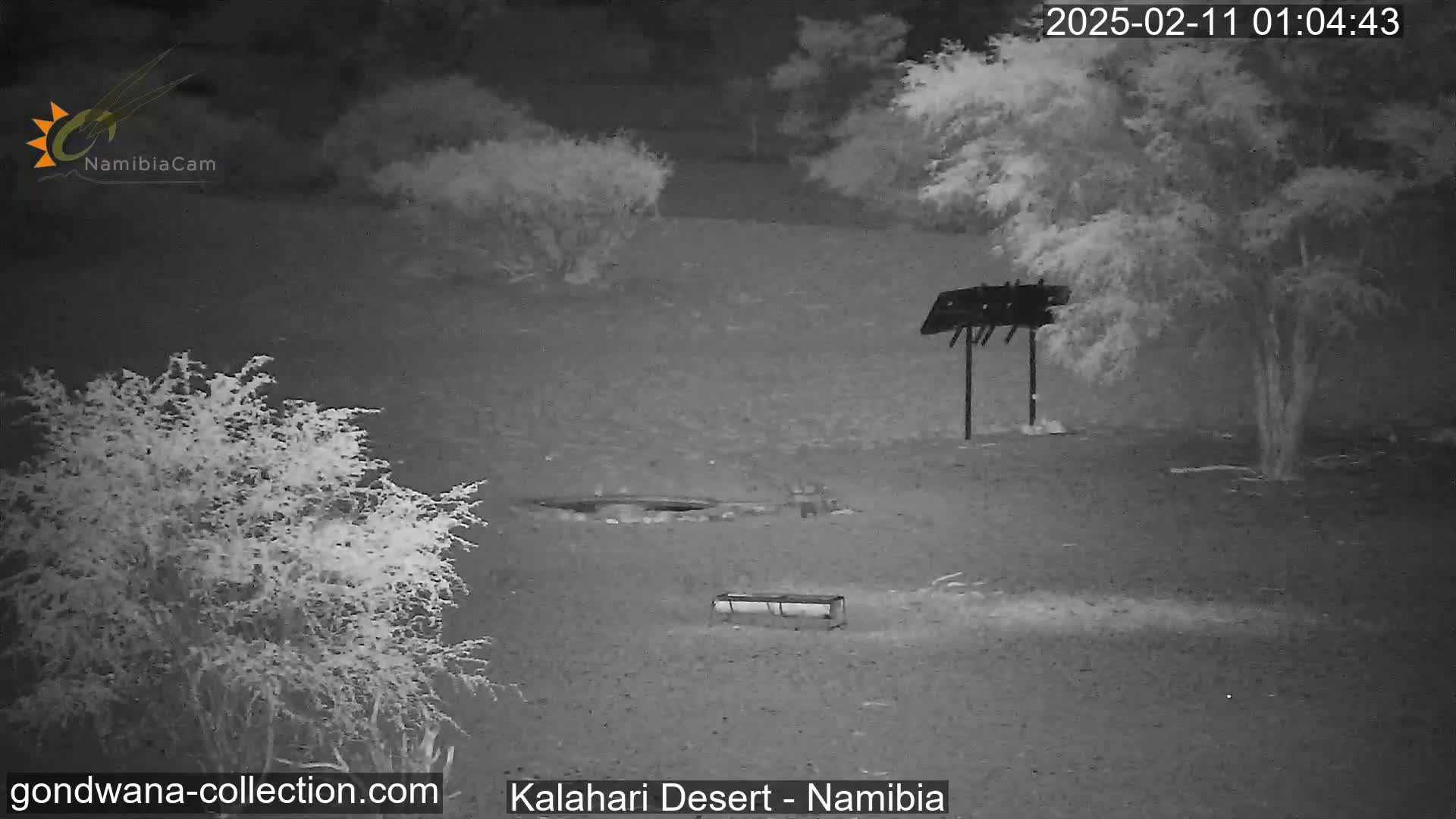 A nighttime infrared image shows a desert landscape with sparse vegetation, a small structure, and a trough-like object.