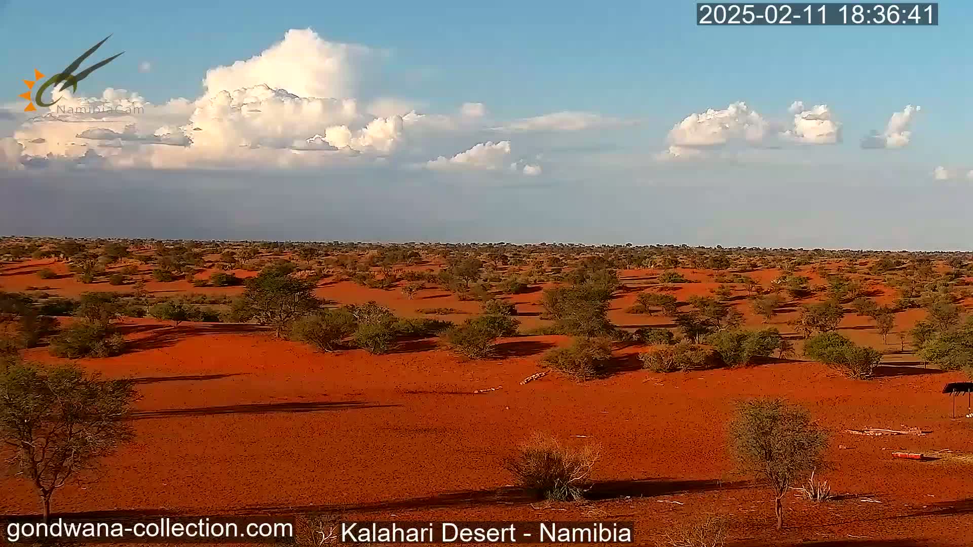 Under a partly cloudy sky, a flat, red desert landscape dotted with sparse, low-lying vegetation stretches to the horizon.