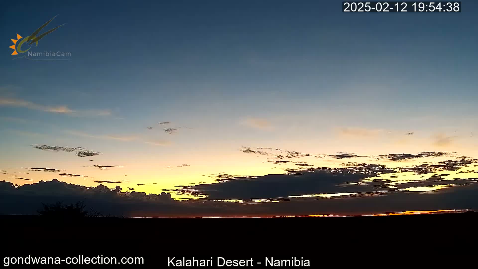 Natural Life in the Kalahari Desert (Gondwana Kalahari Park)  Live Cam - Mariental, Hardap, Namibia
