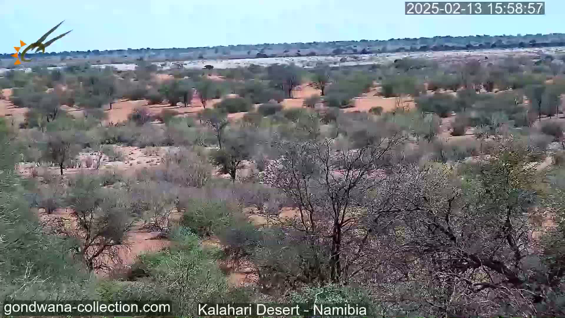 A wide shot shows a dry, sparsely vegetated landscape under a clear sky.