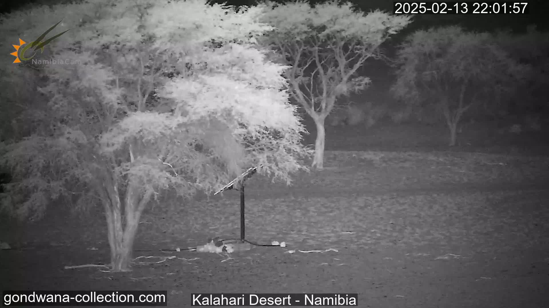 A nighttime infrared image shows a small solar panel on a stand in a desert landscape with sparse trees under a clear, dark sky.