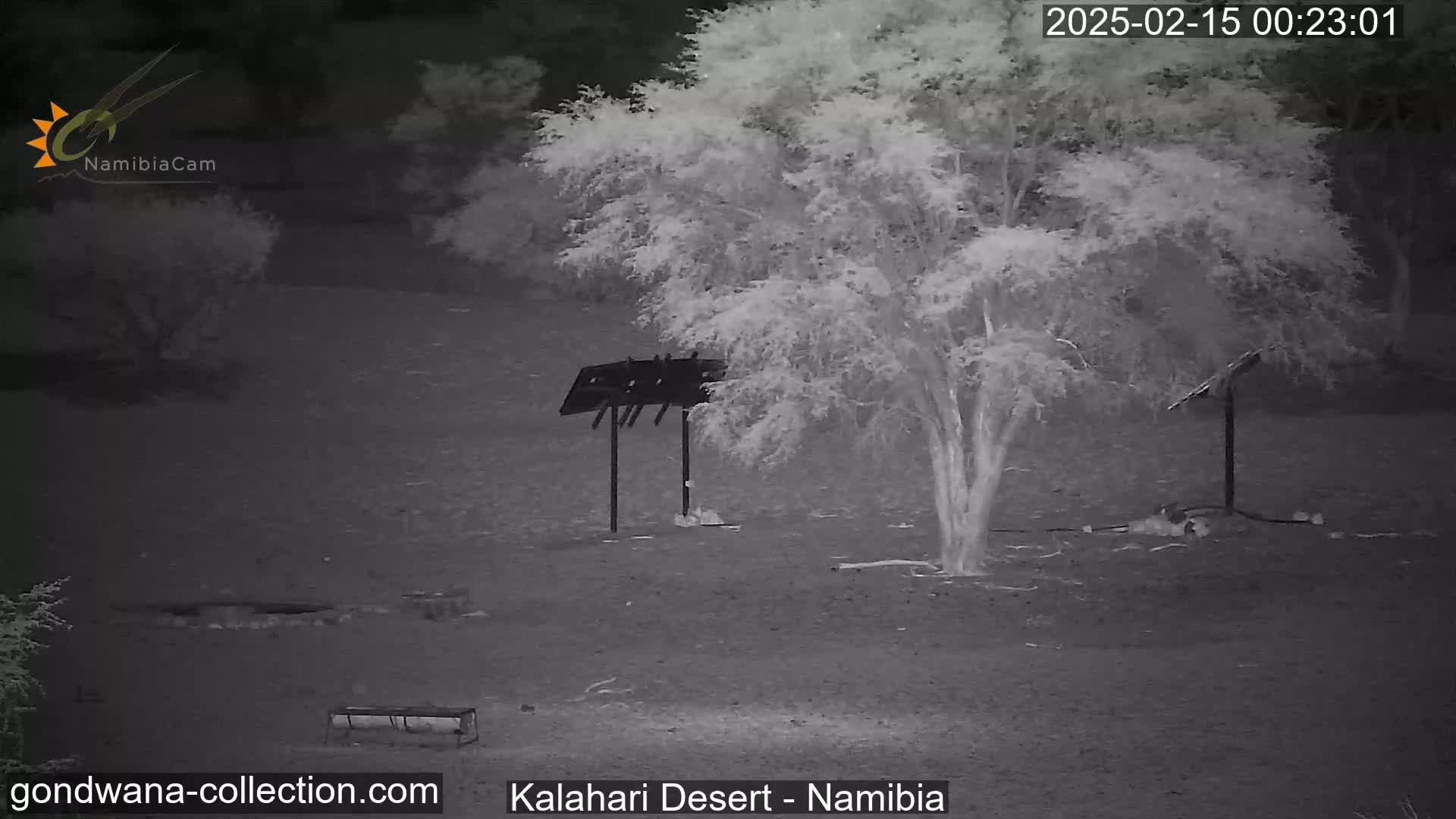 A nighttime, infrared view shows a desert landscape with a tree, two structures resembling solar panels, and a bench under a clear sky.