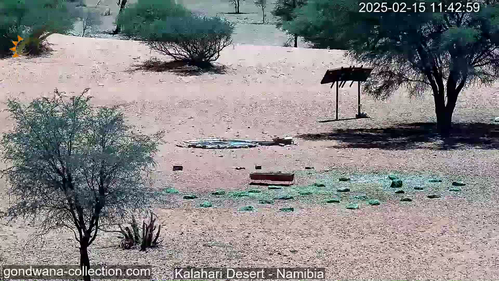 A sunny desert landscape shows sparse vegetation, a stone circle, several small rectangular objects scattered on the ground, and a wooden signpost.