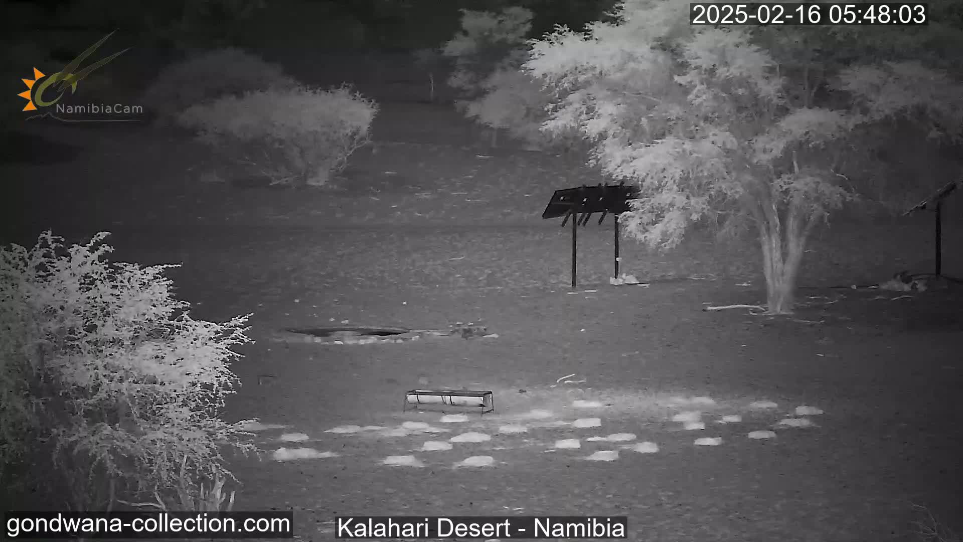 A nighttime infrared image shows a sparsely vegetated desert landscape with a few small shrubs and trees, a simple metal structure, and several light-colored objects scattered on the ground.