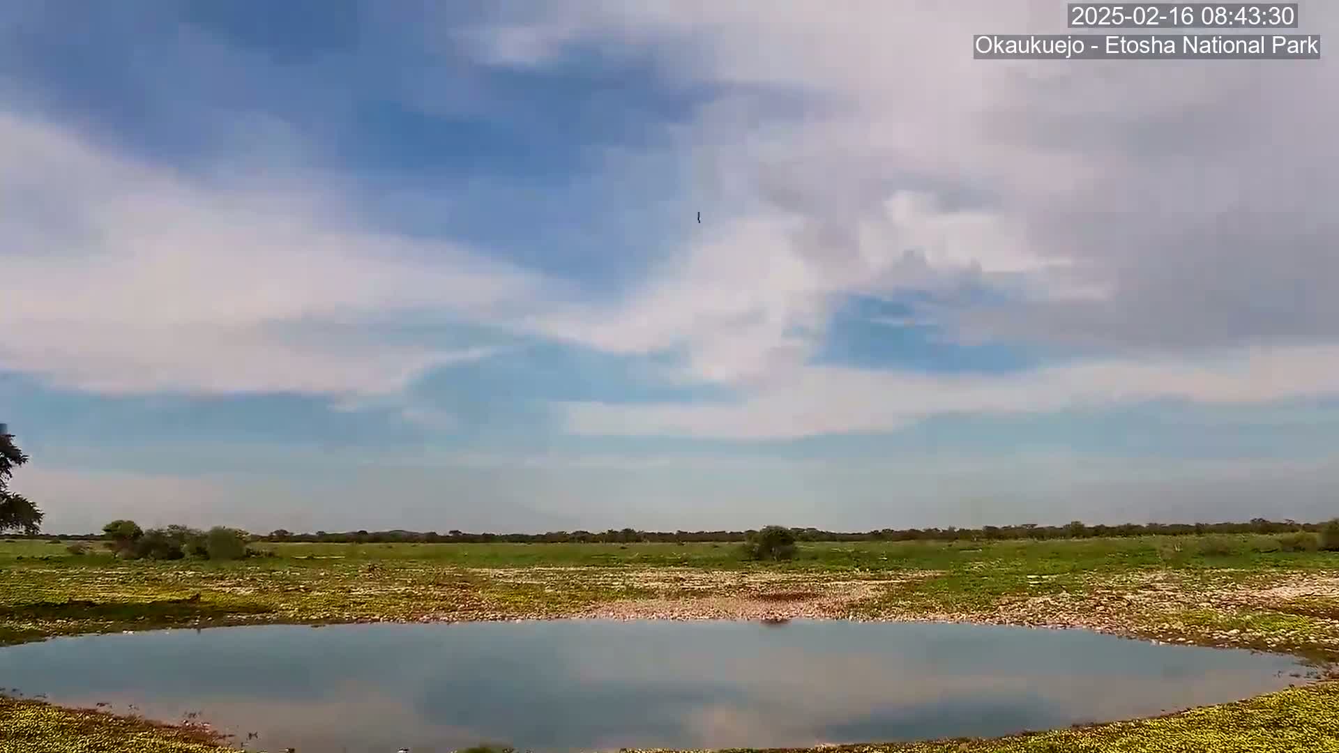 A calm body of water sits in a grassy field under a mostly clear sky with scattered clouds.