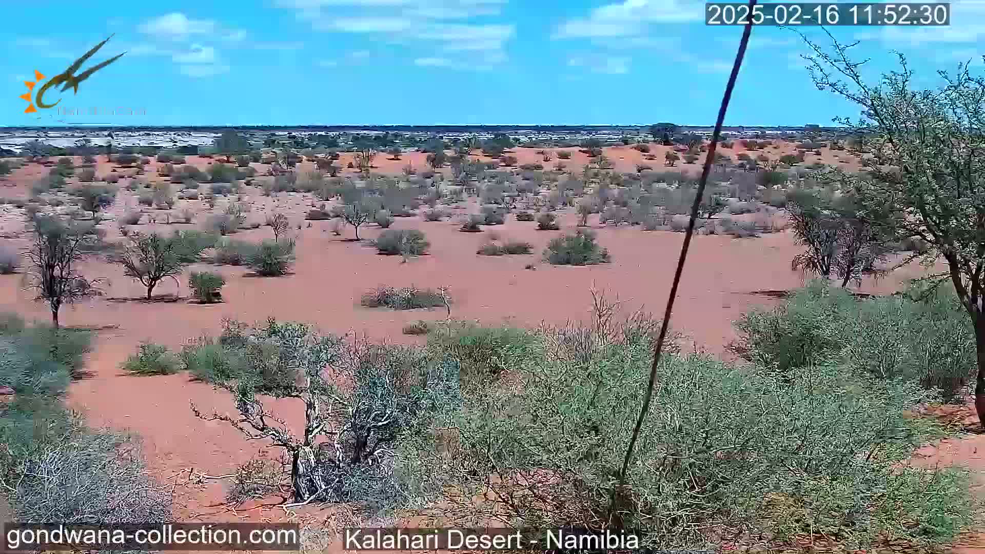 A mostly sunny day reveals a reddish-brown desert landscape sparsely dotted with low shrubs and small trees under a mostly clear blue sky.